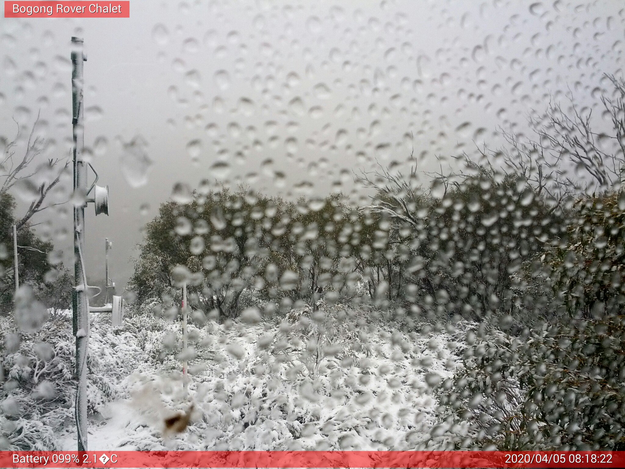 Bogong Web Cam 8:18am Sunday 5th of April 2020