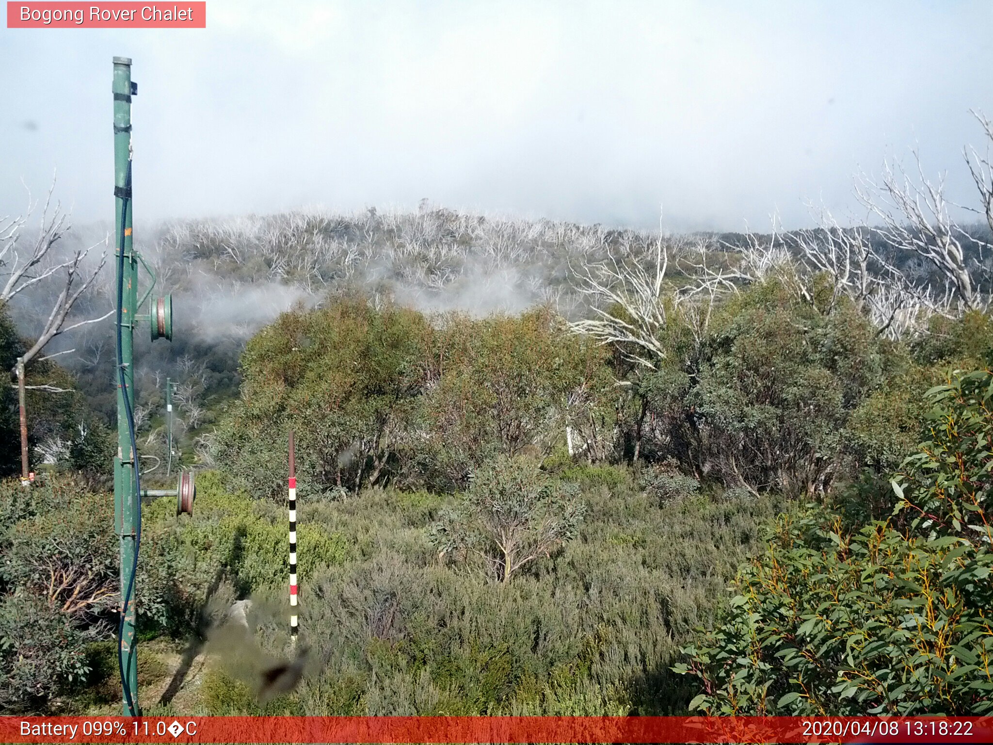 Bogong Web Cam 1:18pm Wednesday 8th of April 2020