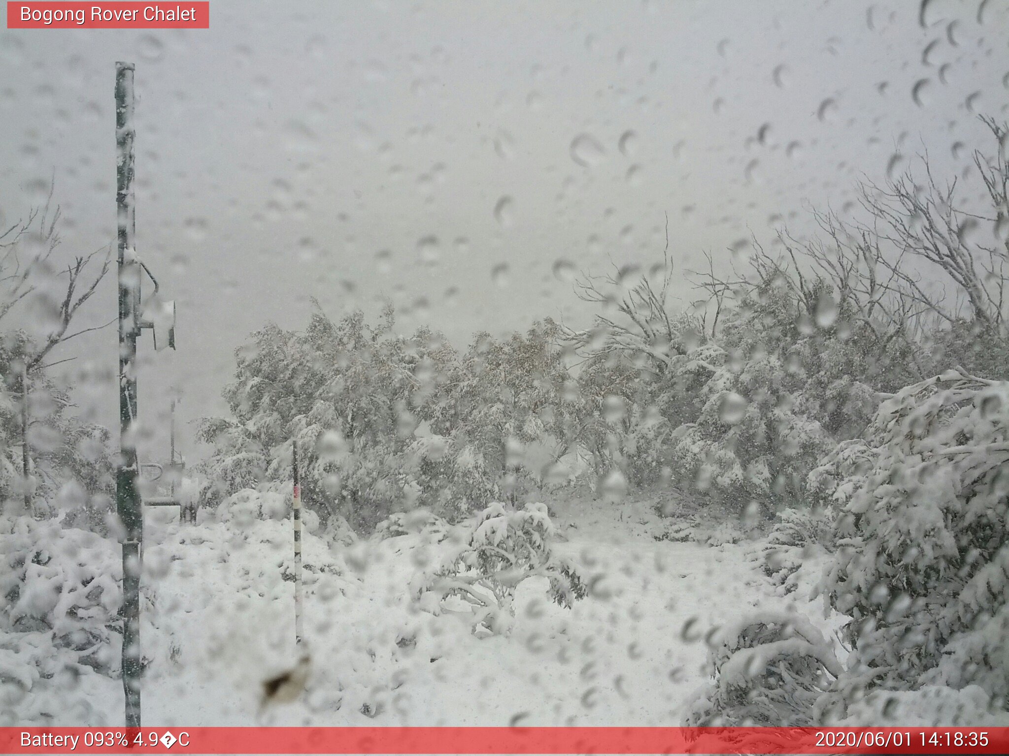 Bogong Web Cam 2:18pm Monday 1st of June 2020