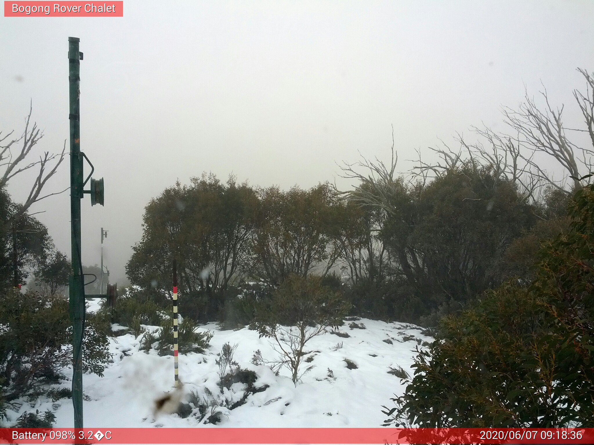 Bogong Web Cam 9:18am Sunday 7th of June 2020