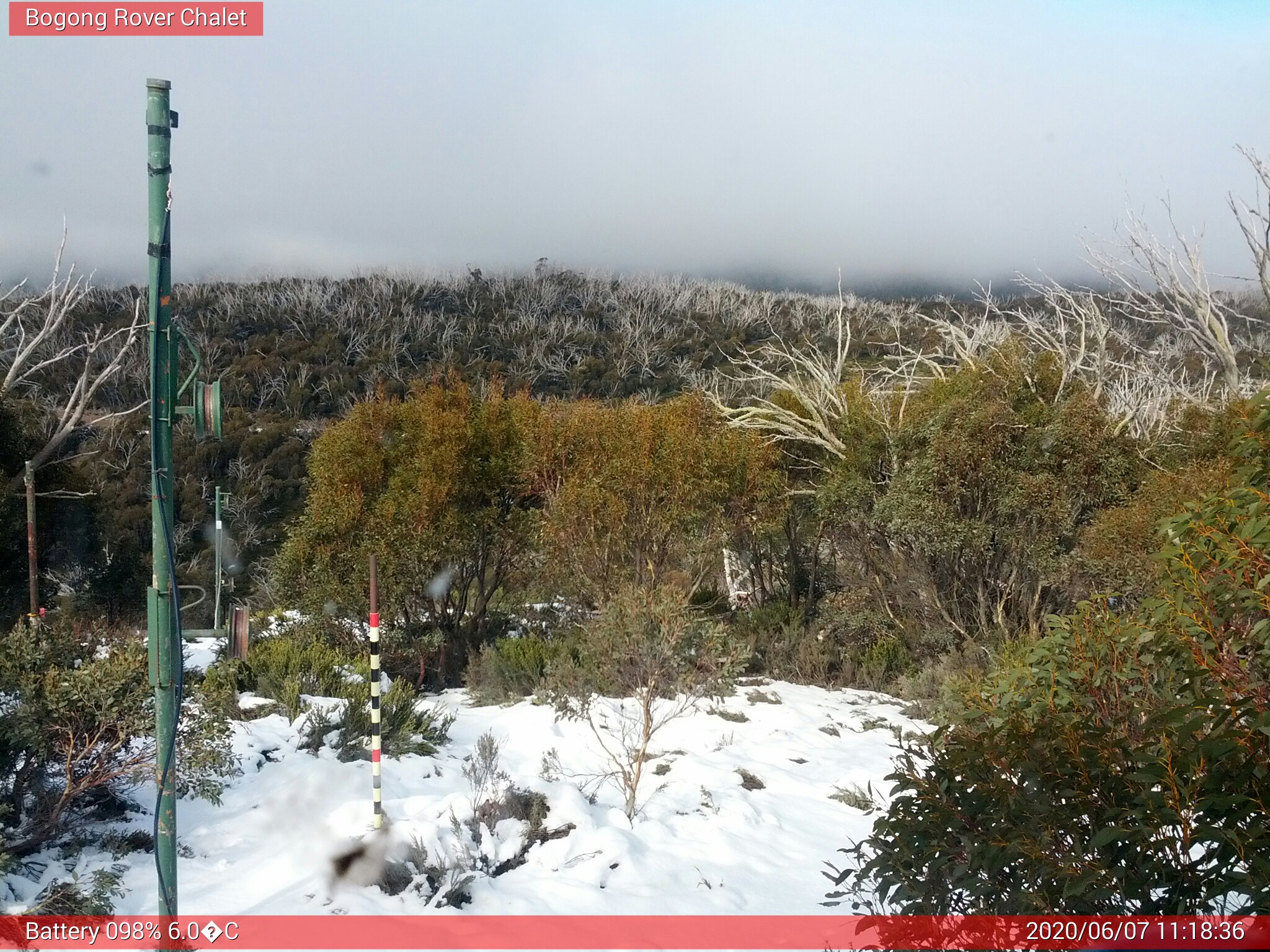 Bogong Web Cam 11:18am Sunday 7th of June 2020