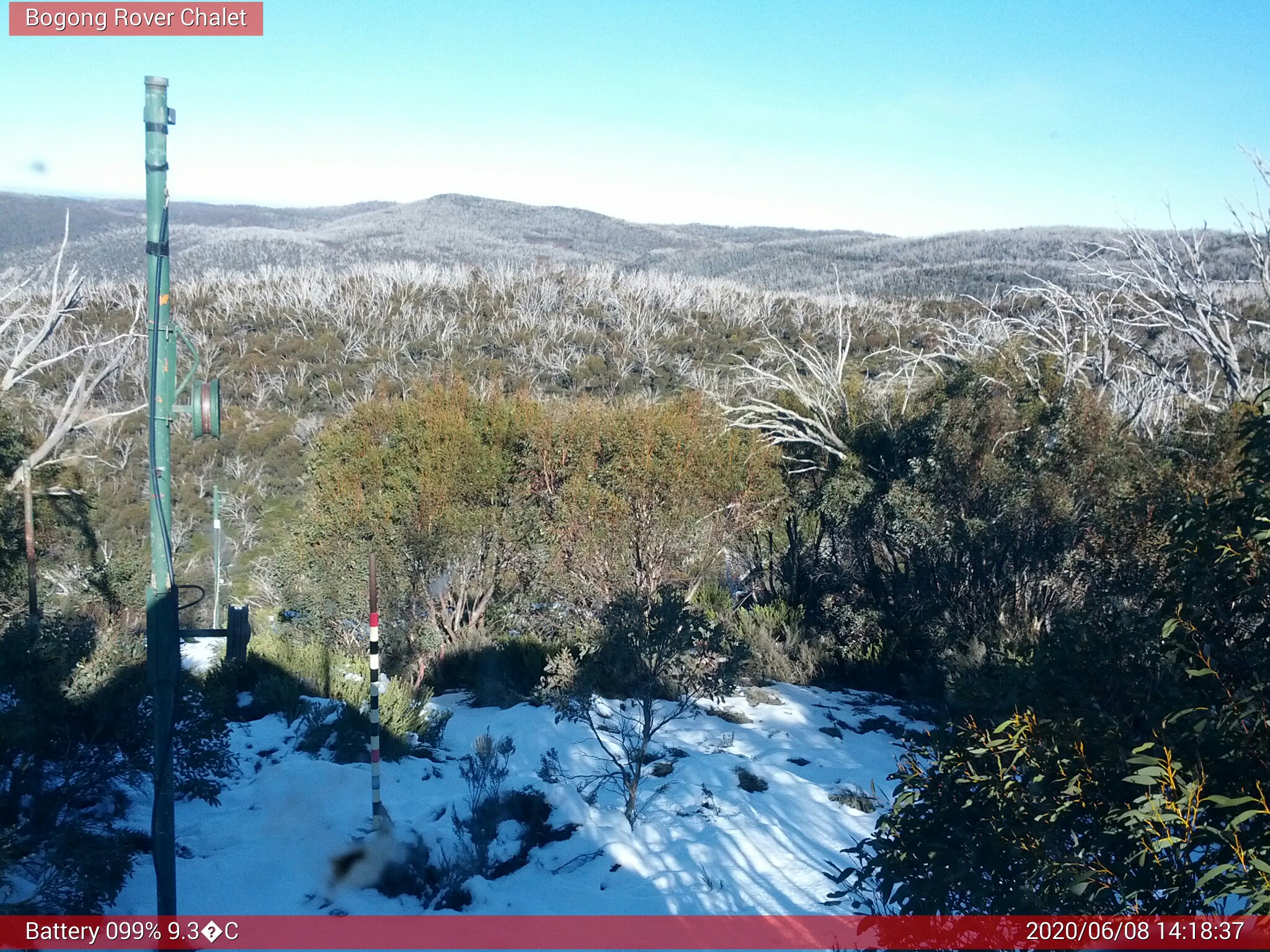 Bogong Web Cam 2:18pm Monday 8th of June 2020