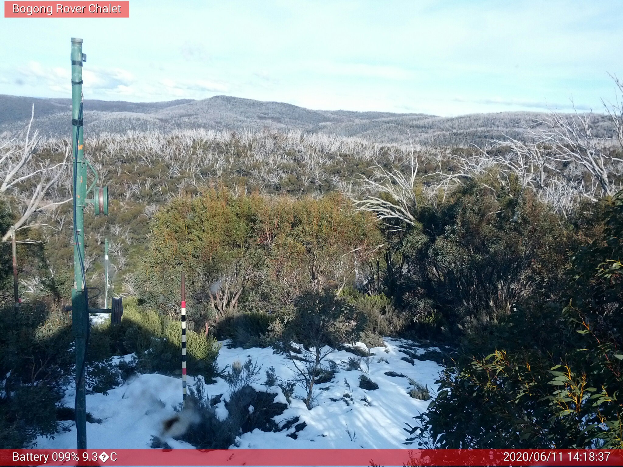 Bogong Web Cam 2:18pm Thursday 11th of June 2020