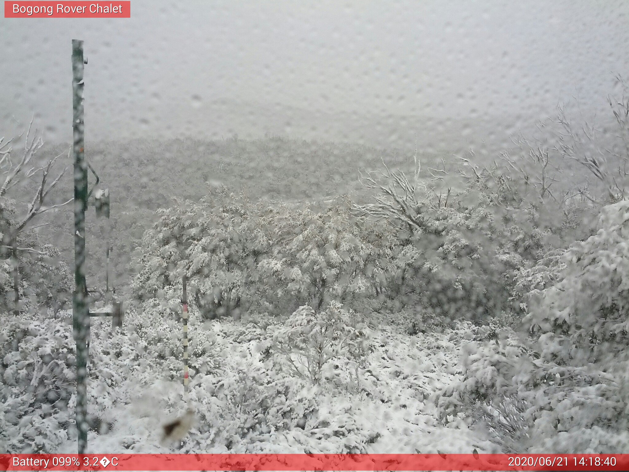 Bogong Web Cam 2:18pm Sunday 21st of June 2020