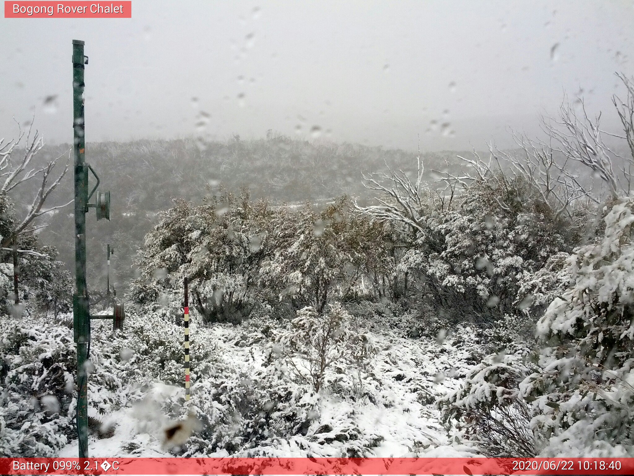 Bogong Web Cam 10:18am Monday 22nd of June 2020