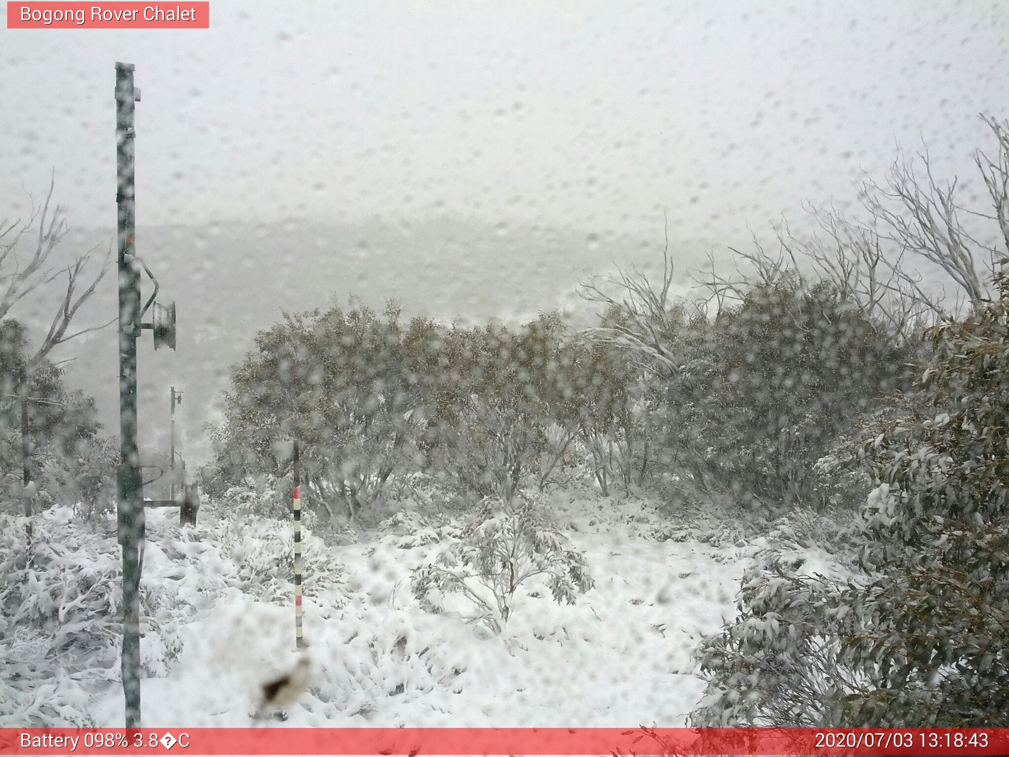 Bogong Web Cam 1:18pm Friday 3rd of July 2020