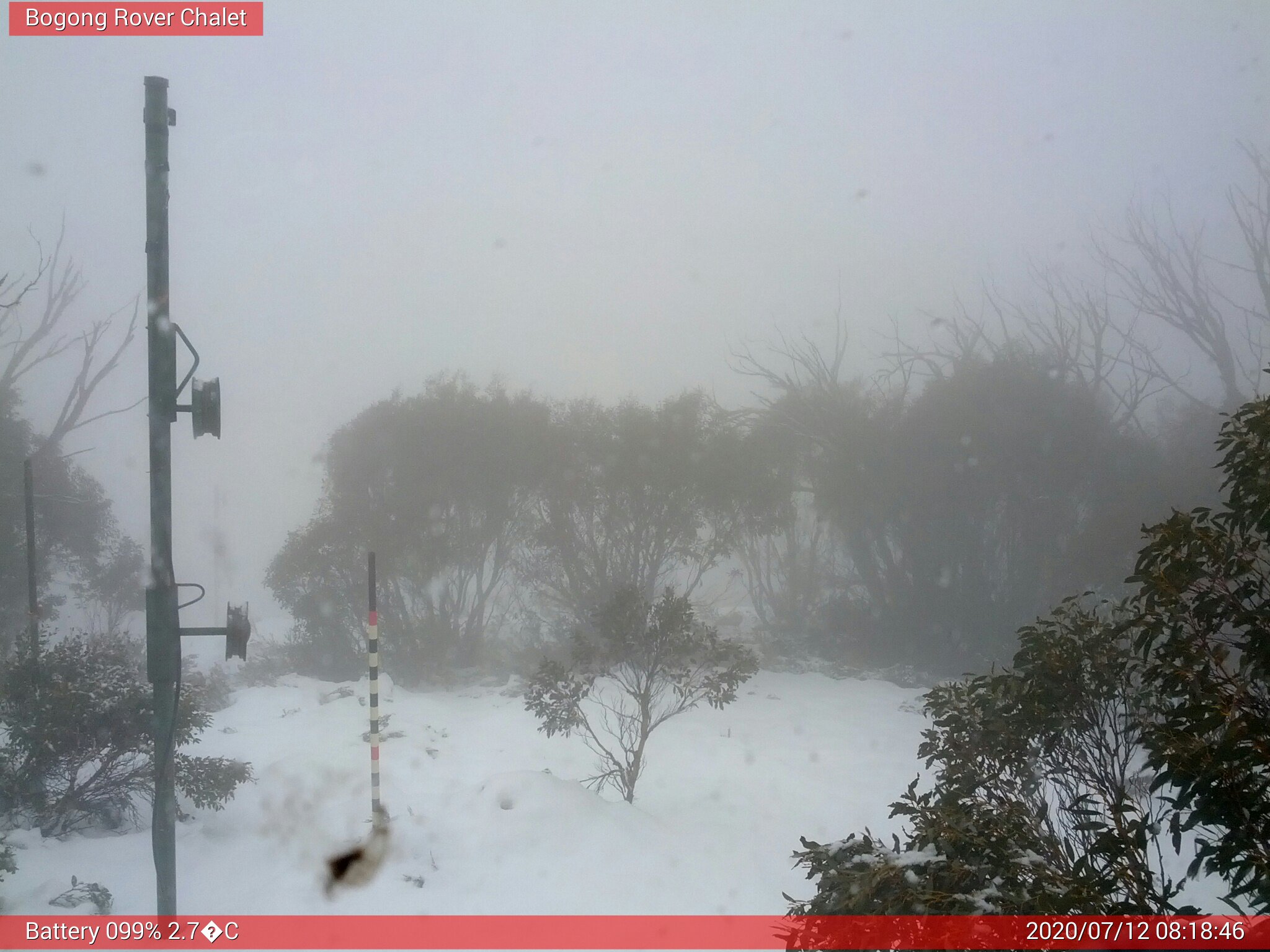 Bogong Web Cam 8:18am Sunday 12th of July 2020