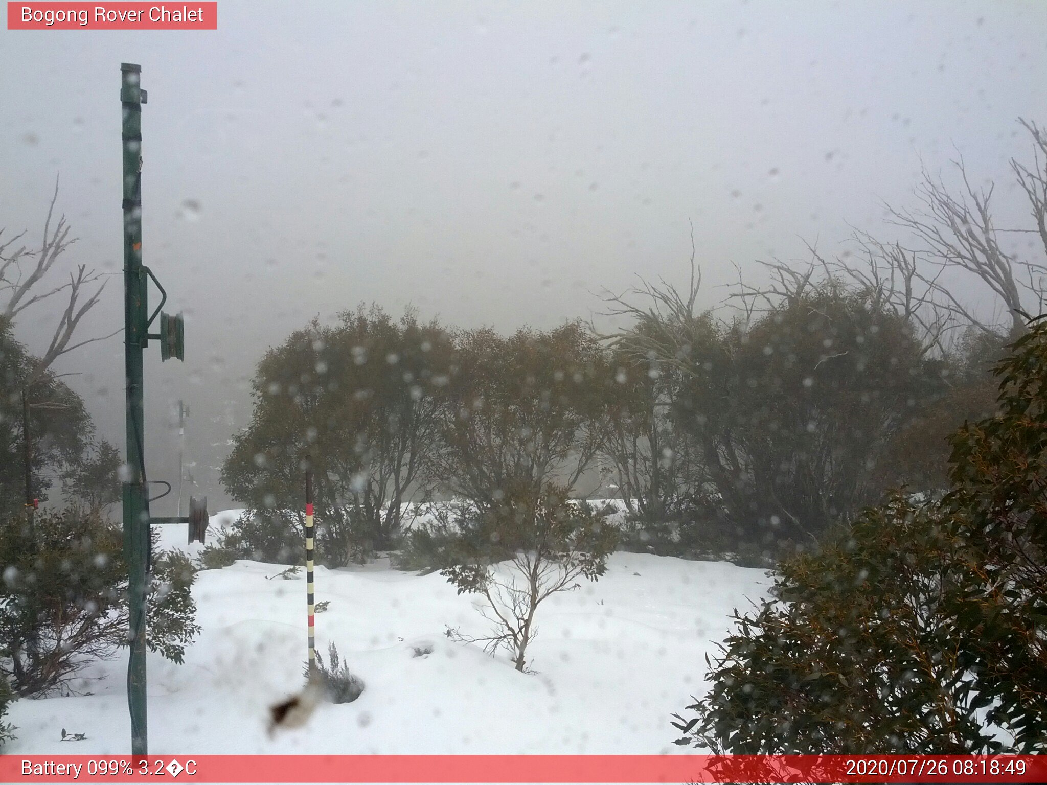 Bogong Web Cam 8:18am Sunday 26th of July 2020