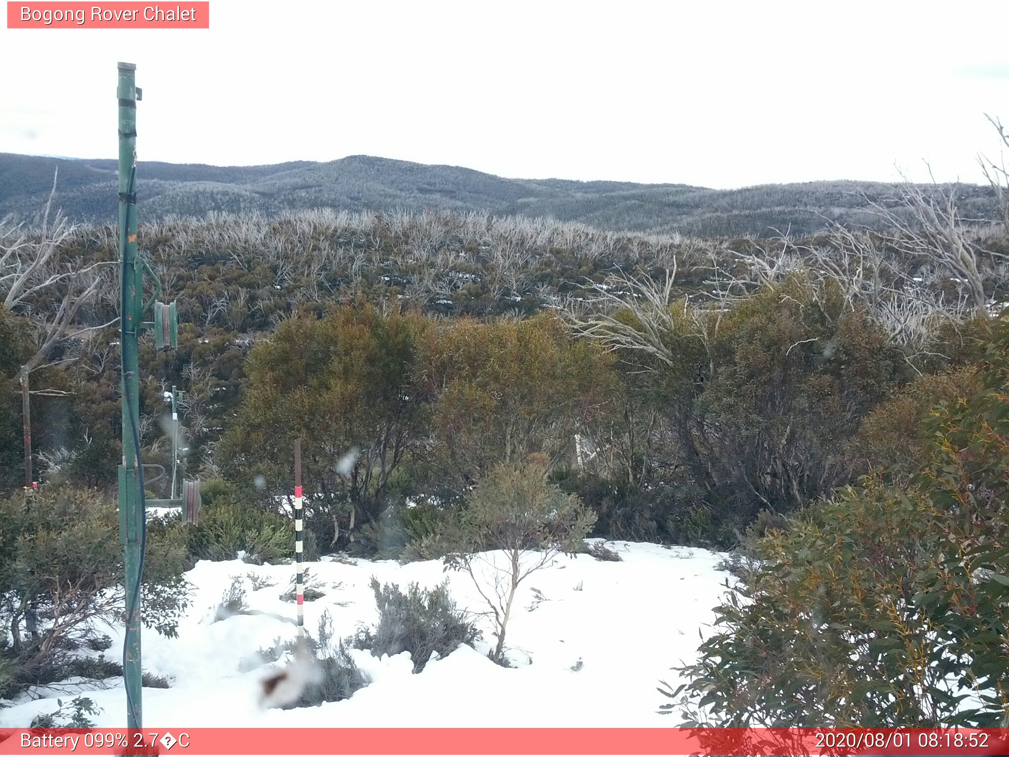 Bogong Web Cam 8:18am Saturday 1st of August 2020