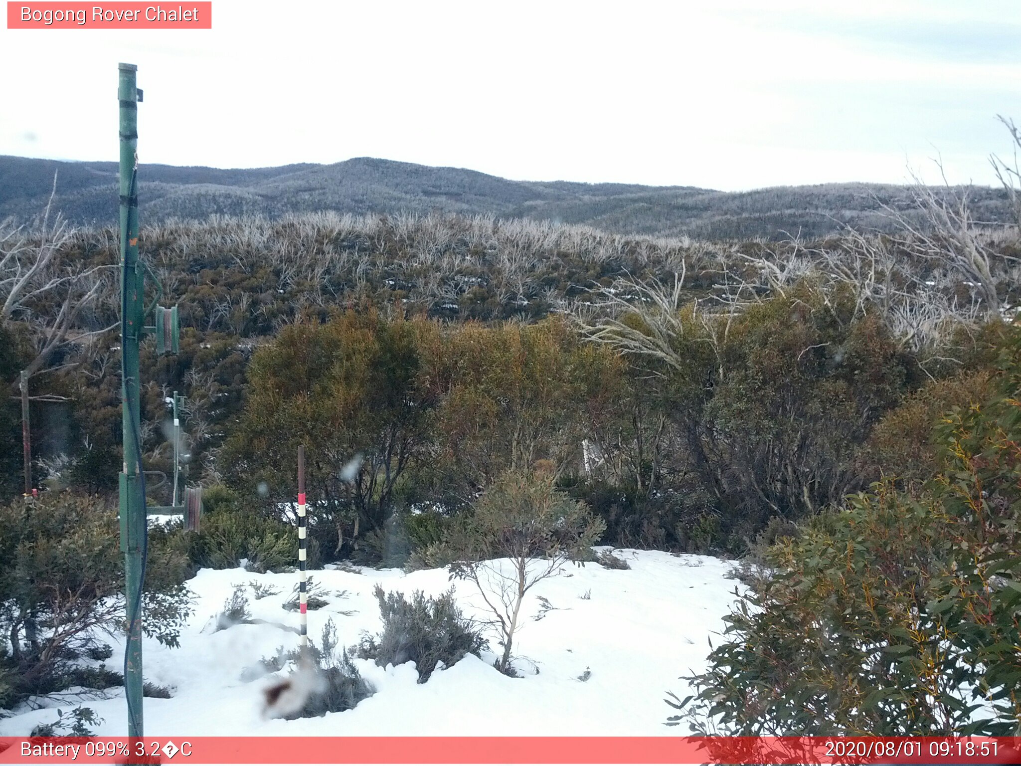 Bogong Web Cam 9:18am Saturday 1st of August 2020