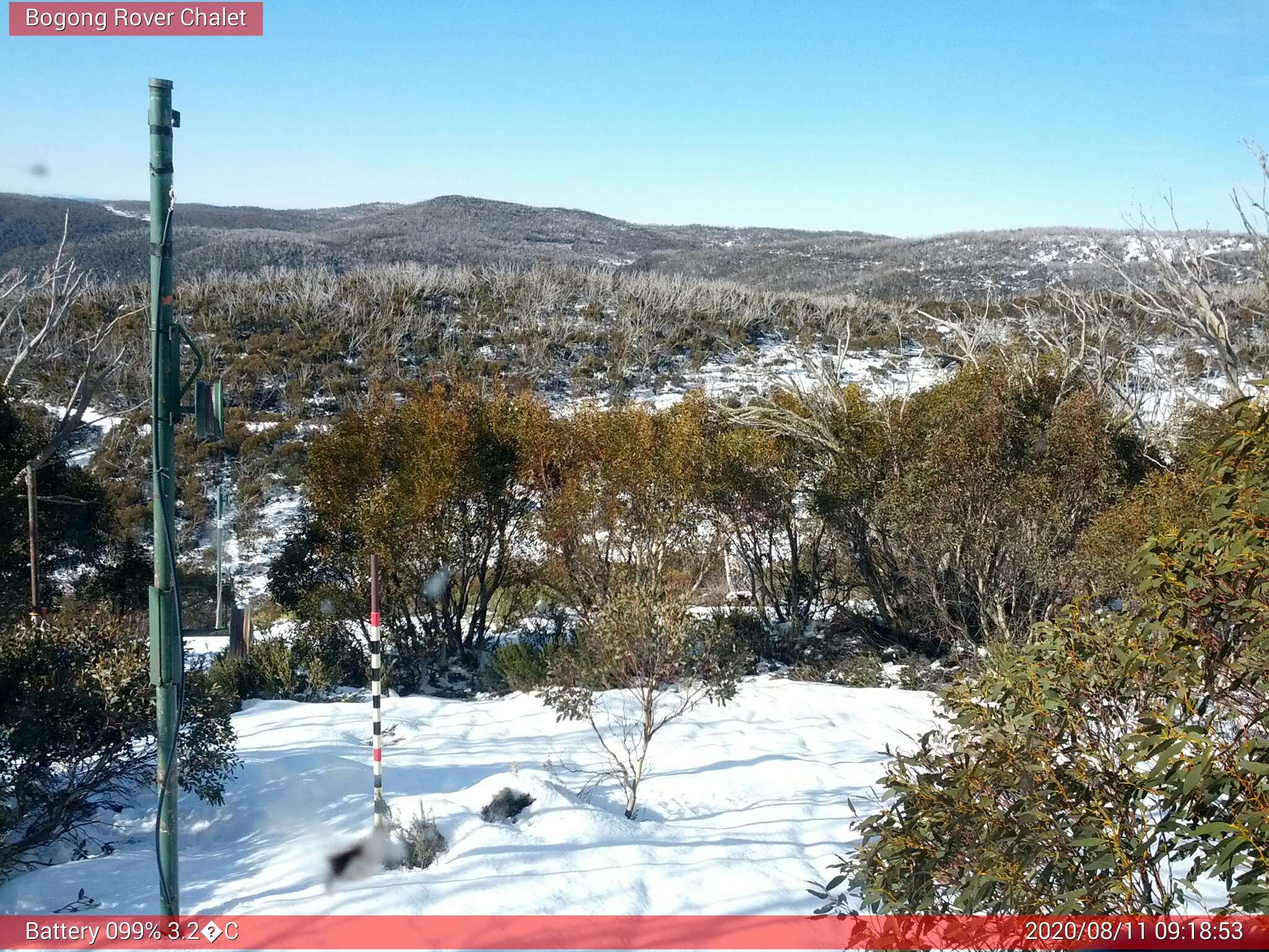 Bogong Web Cam 9:18am Tuesday 11th of August 2020