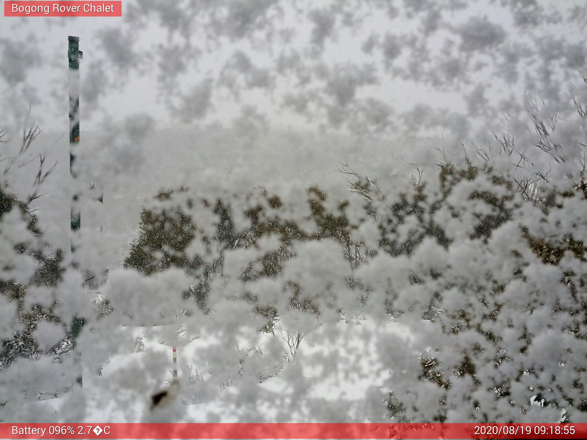 Bogong Web Cam 9:18am Wednesday 19th of August 2020