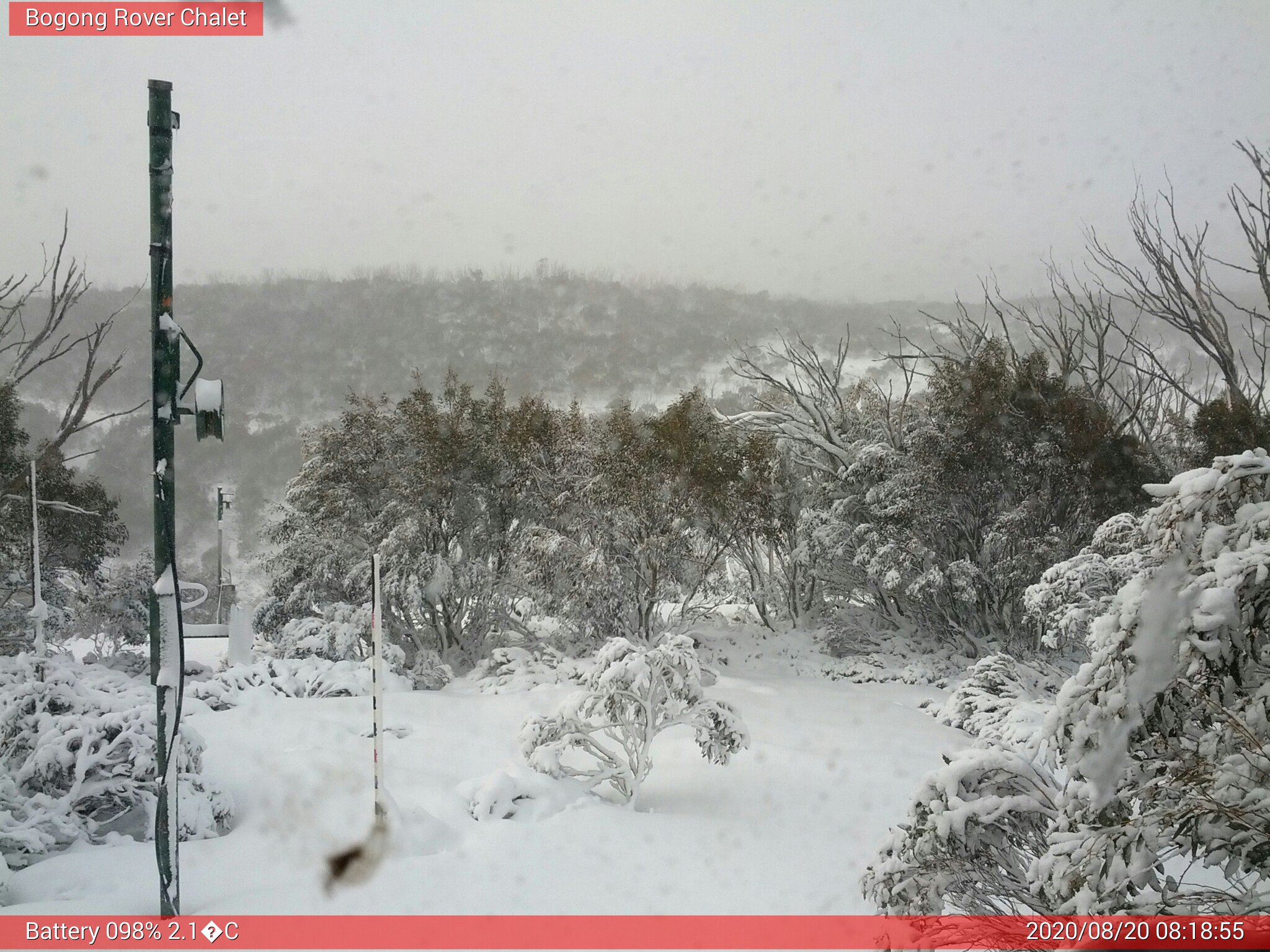 Bogong Web Cam 8:18am Thursday 20th of August 2020