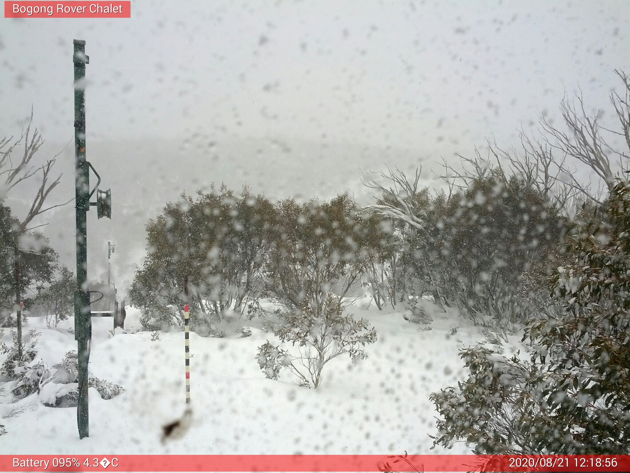 Bogong Web Cam 12:18pm Friday 21st of August 2020