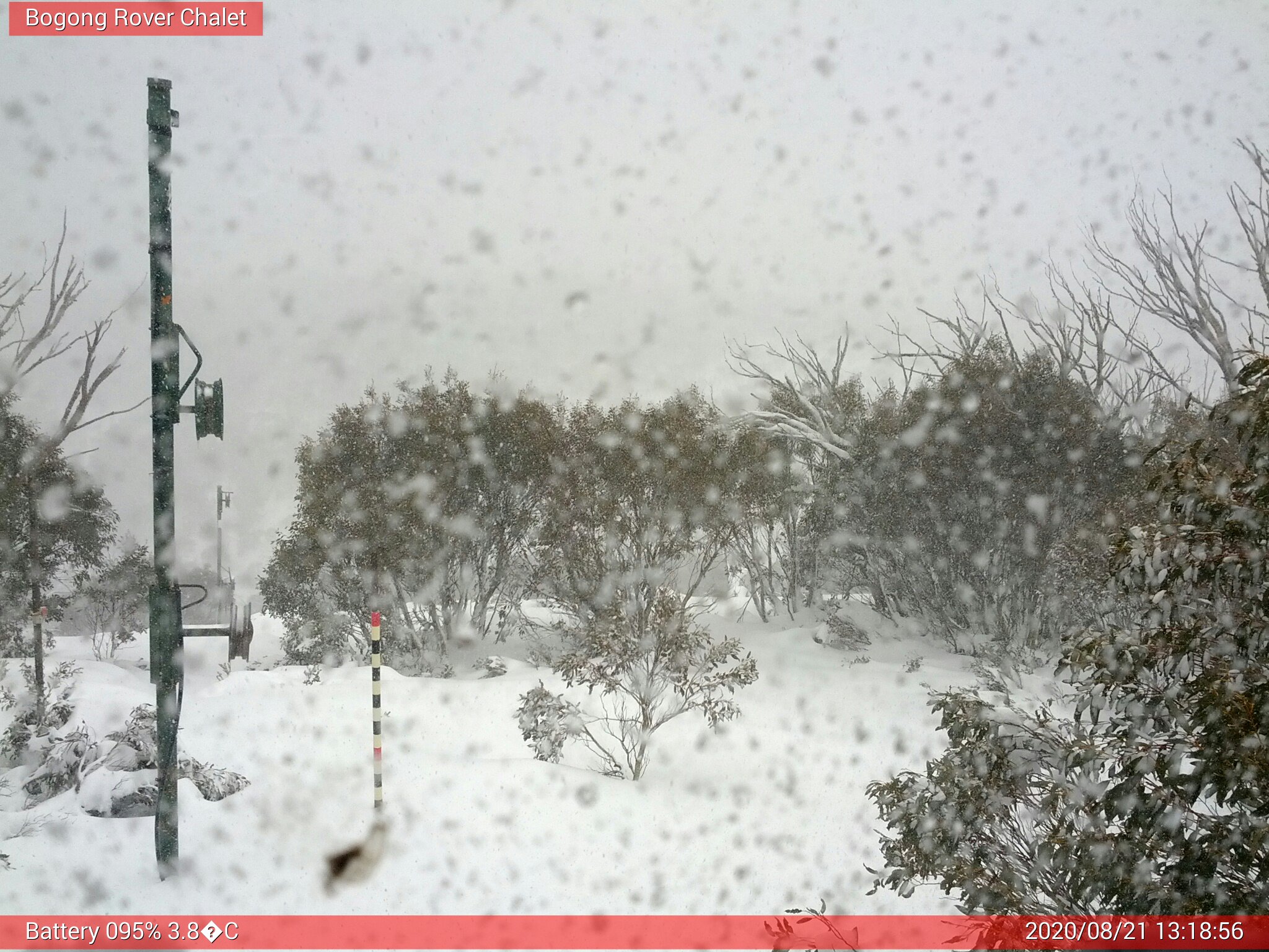 Bogong Web Cam 1:18pm Friday 21st of August 2020