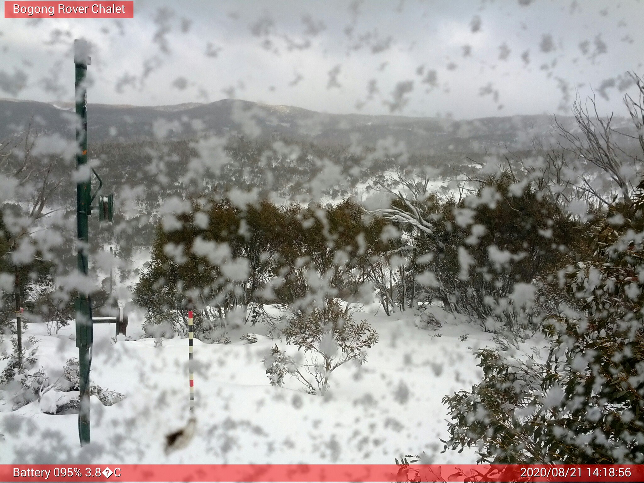 Bogong Web Cam 2:18pm Friday 21st of August 2020