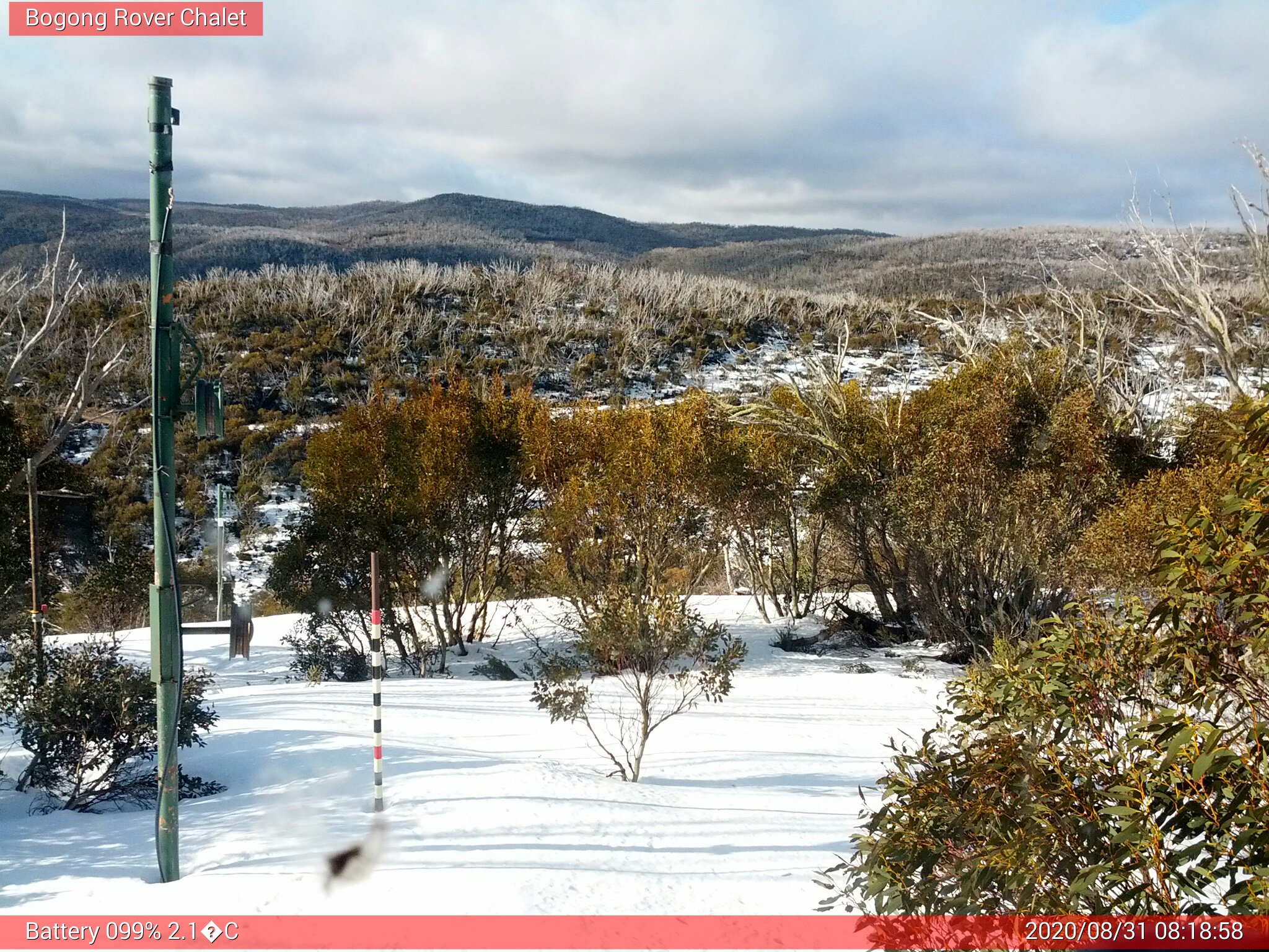 Bogong Web Cam 8:18am Monday 31st of August 2020