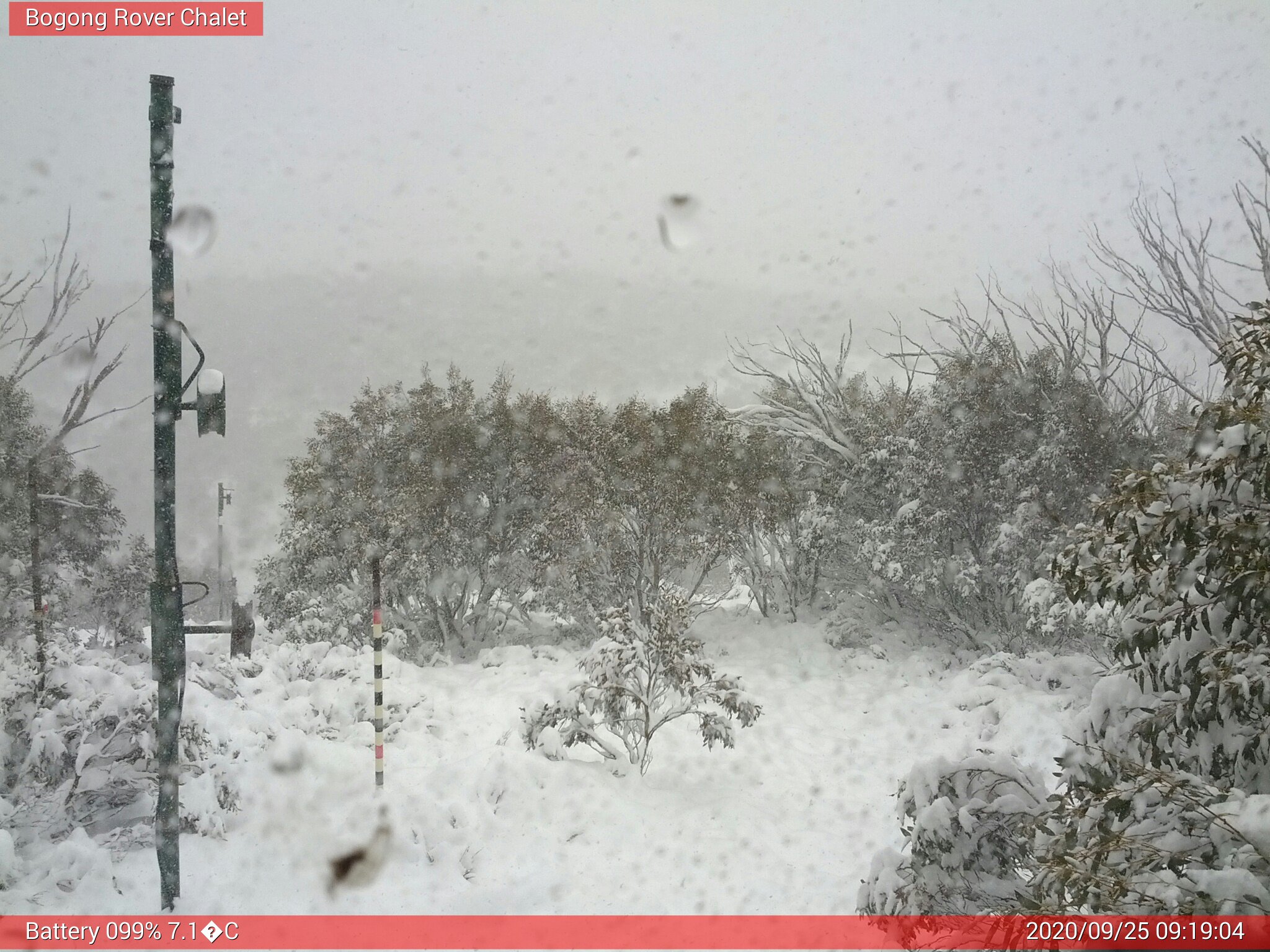 Bogong Web Cam 9:19am Friday 25th of September 2020