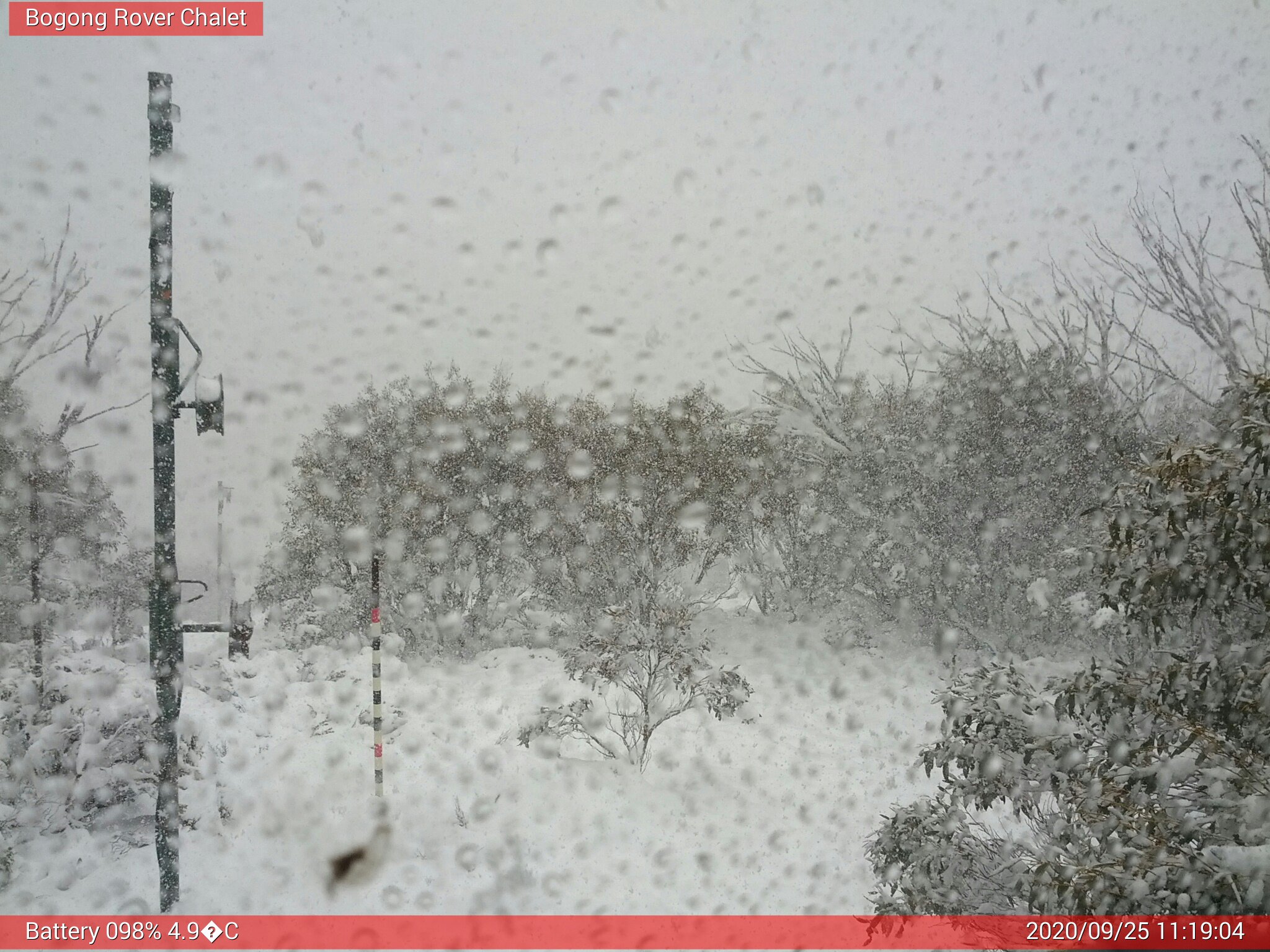 Bogong Web Cam 11:19am Friday 25th of September 2020