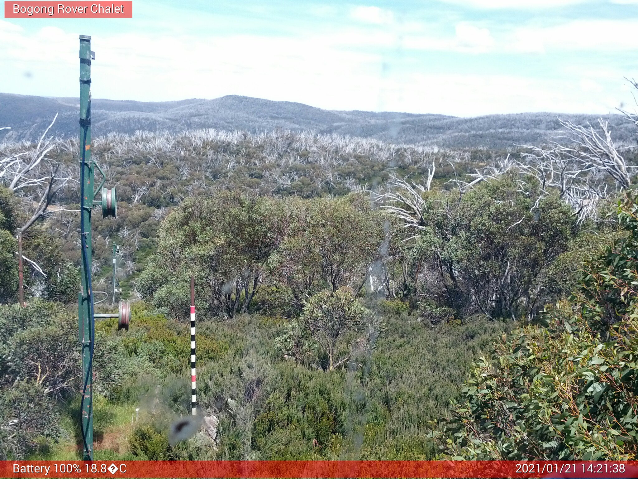 Bogong Web Cam 2:21pm Thursday 21st of January 2021