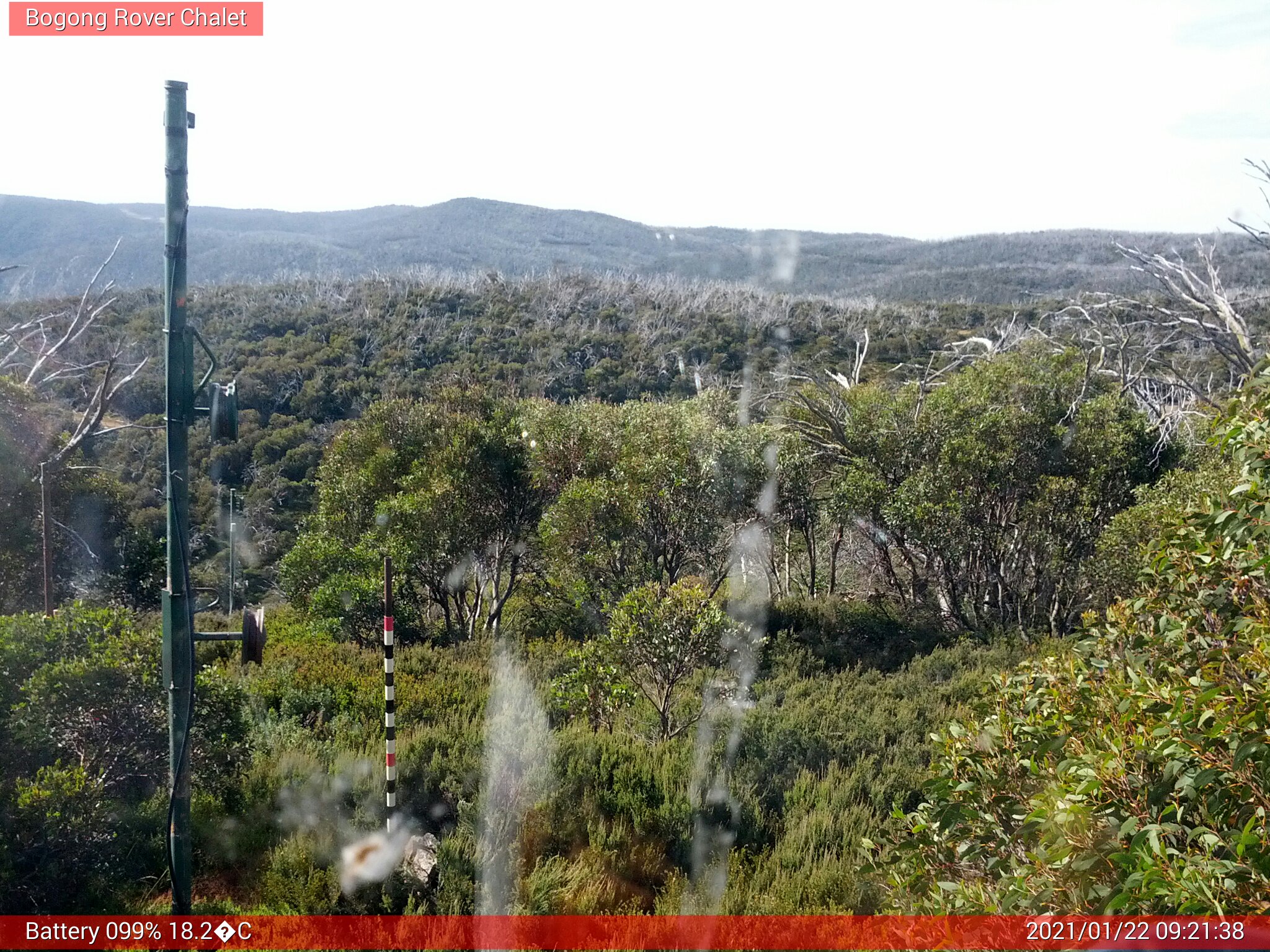 Bogong Web Cam 9:21am Friday 22nd of January 2021