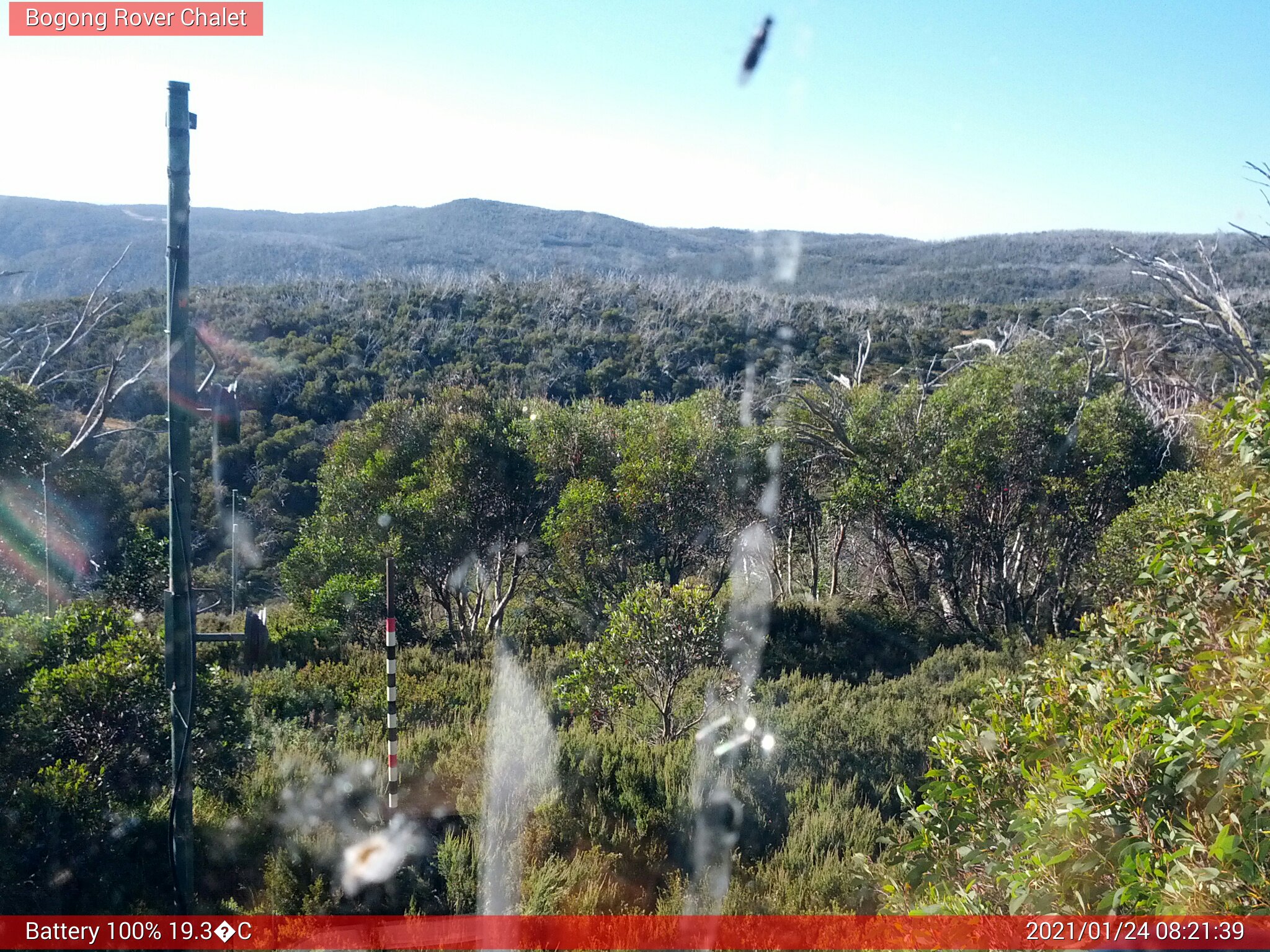 Bogong Web Cam 8:21am Sunday 24th of January 2021