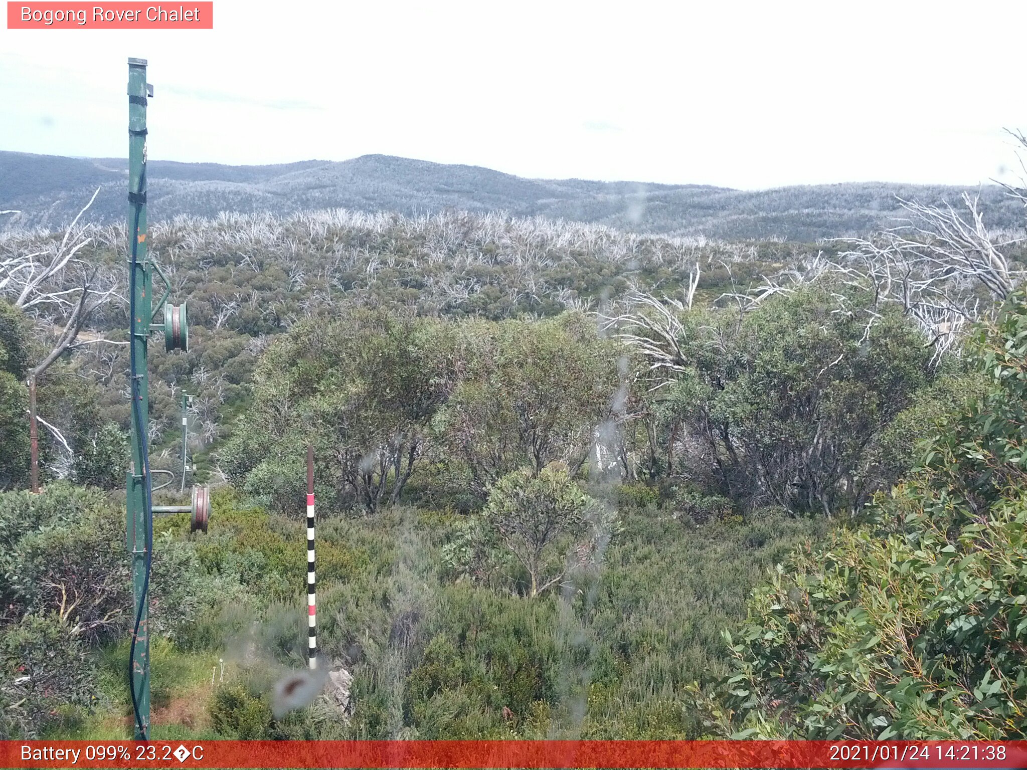 Bogong Web Cam 2:21pm Sunday 24th of January 2021