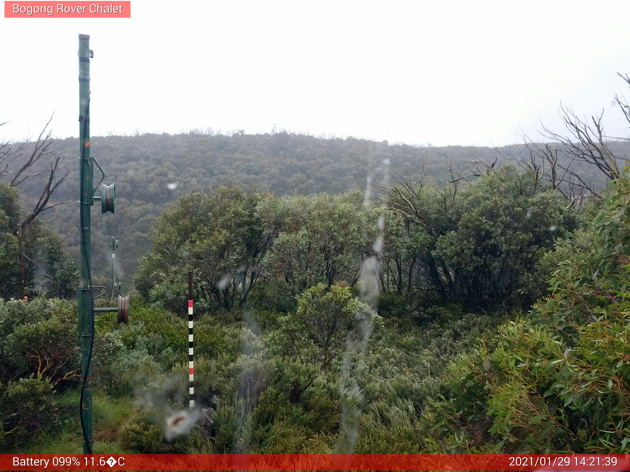 Bogong Web Cam 2:21pm Friday 29th of January 2021