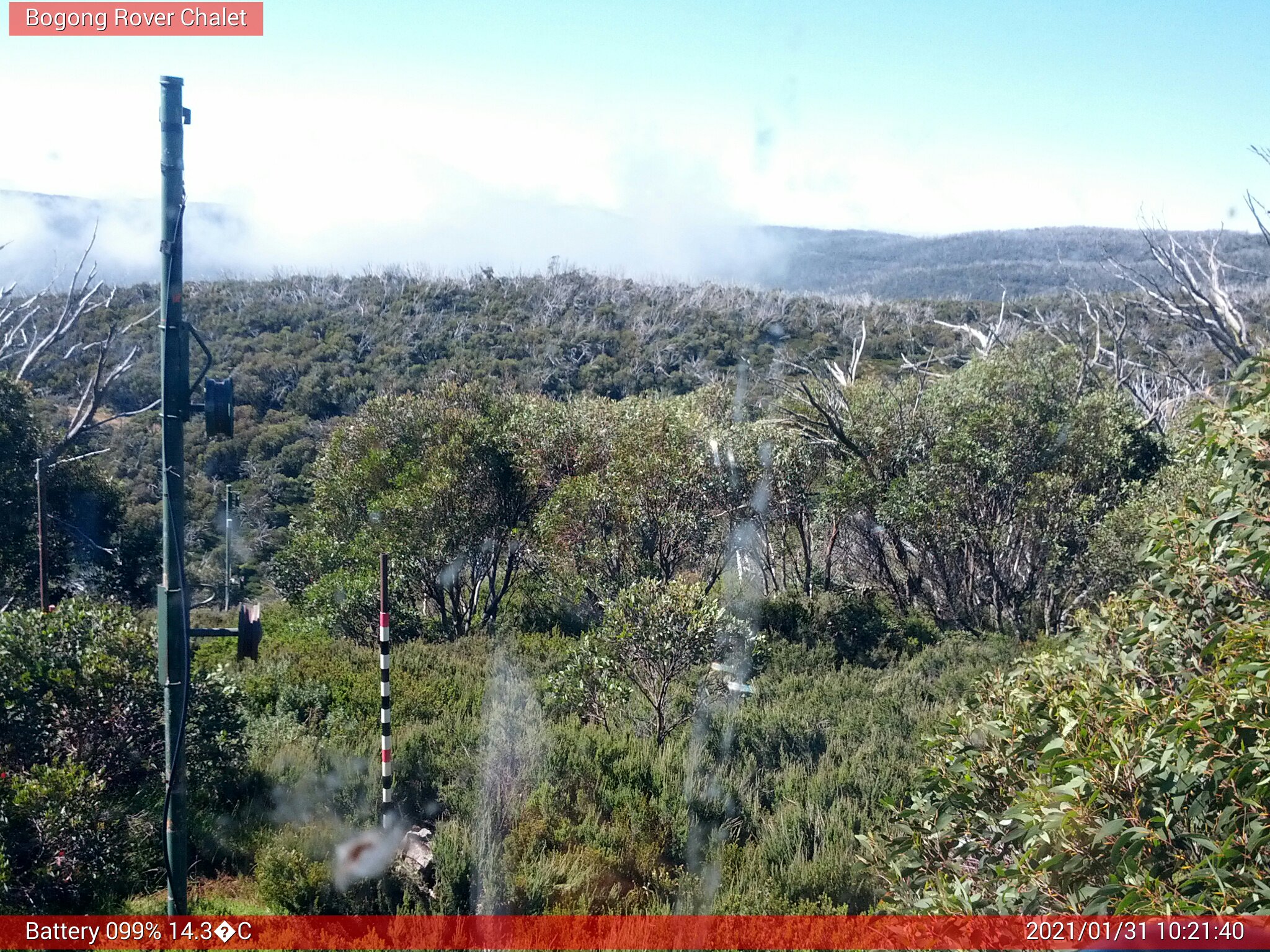 Bogong Web Cam 10:21am Sunday 31st of January 2021