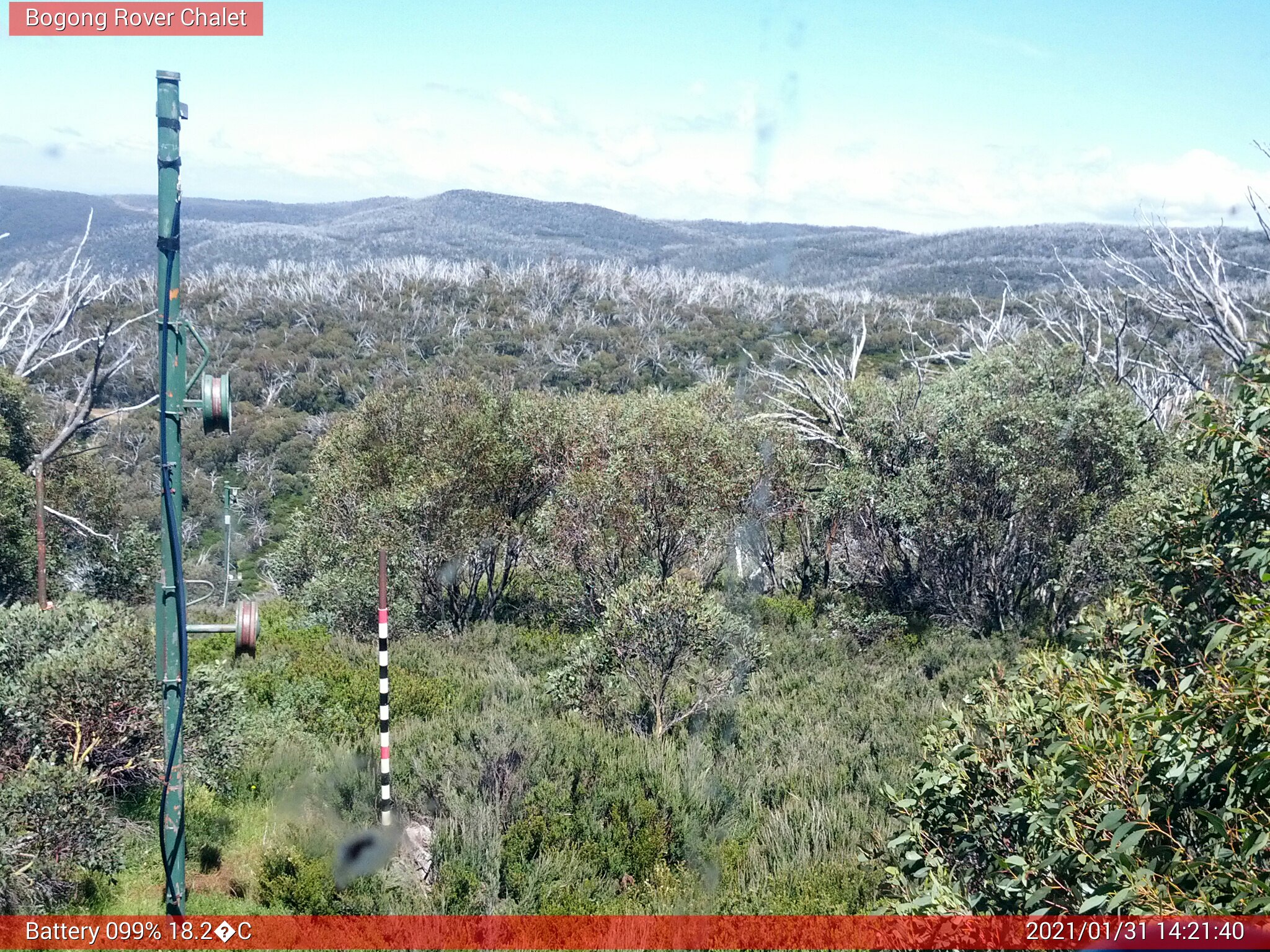 Bogong Web Cam 2:21pm Sunday 31st of January 2021