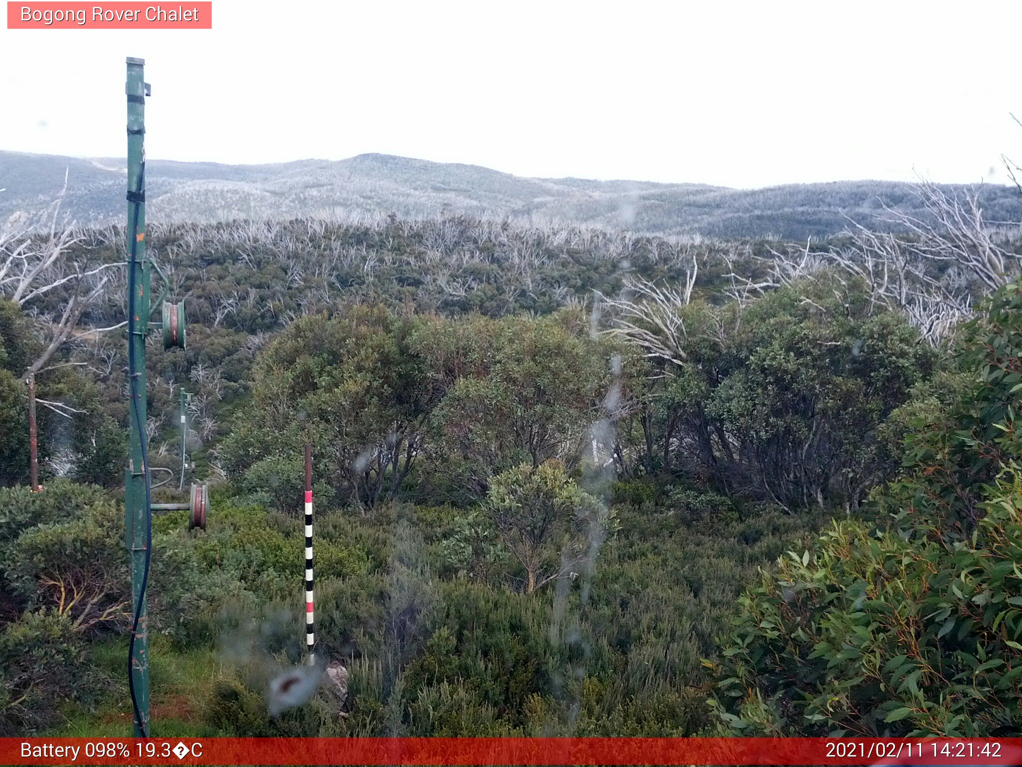 Bogong Web Cam 2:21pm Thursday 11th of February 2021