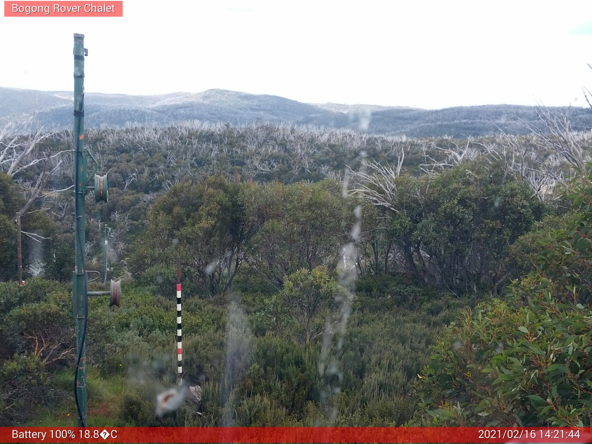 Bogong Web Cam 2:21pm Tuesday 16th of February 2021