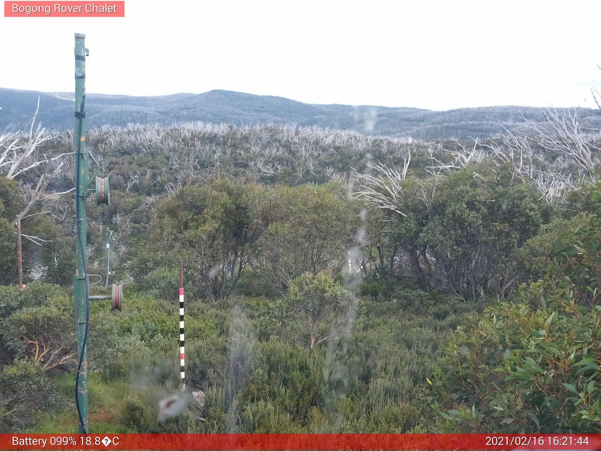 Bogong Web Cam 4:21pm Tuesday 16th of February 2021