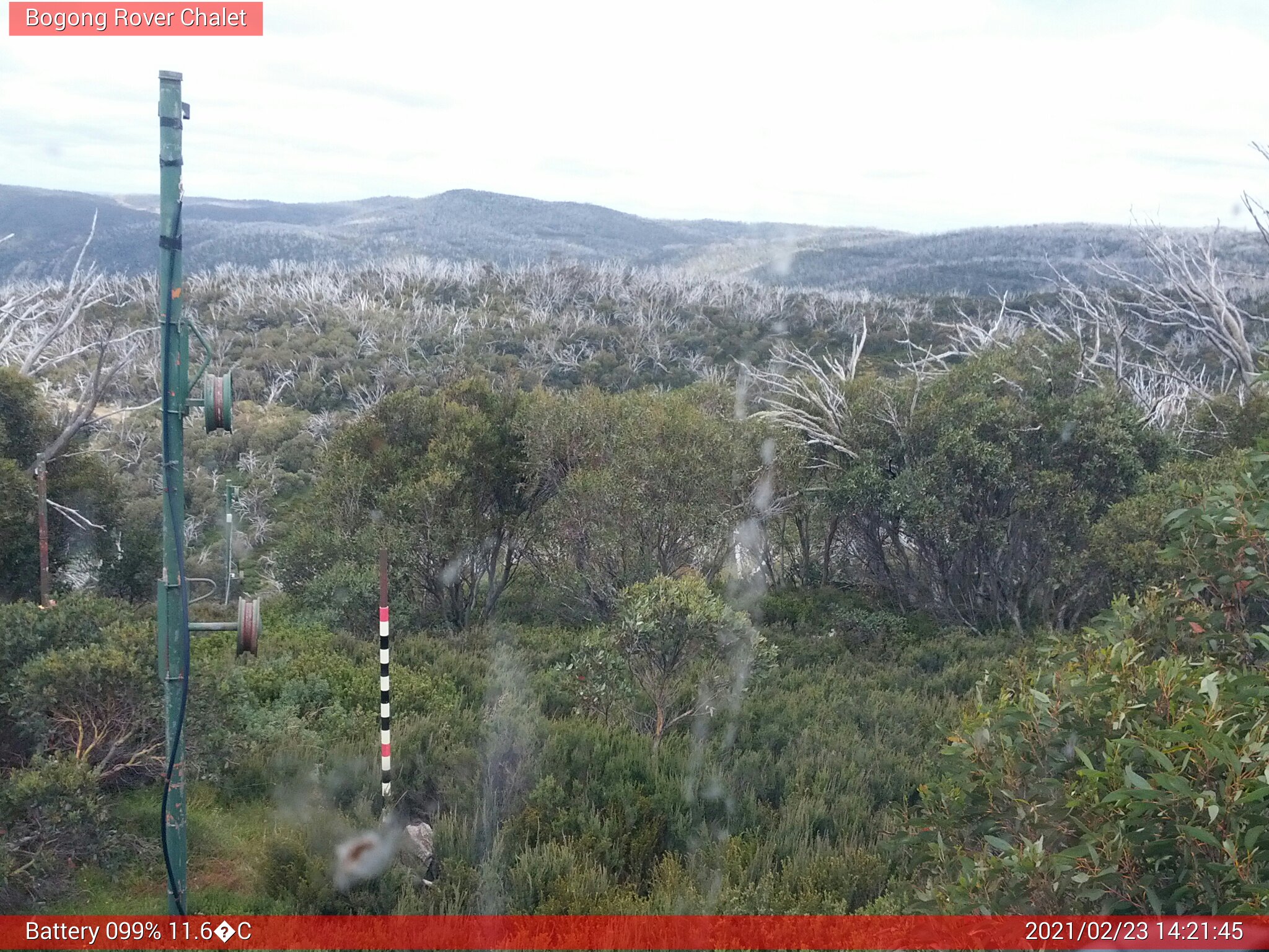 Bogong Web Cam 2:21pm Tuesday 23rd of February 2021