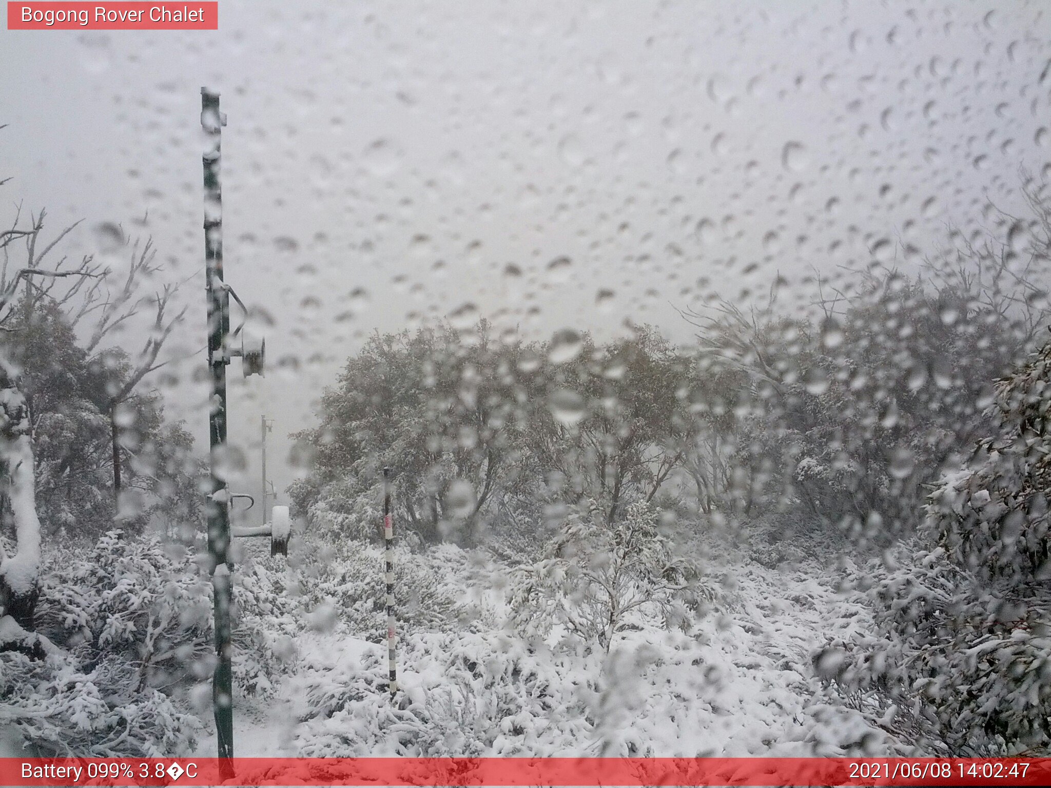 Bogong Web Cam 2:02pm Tuesday 8th of June 2021