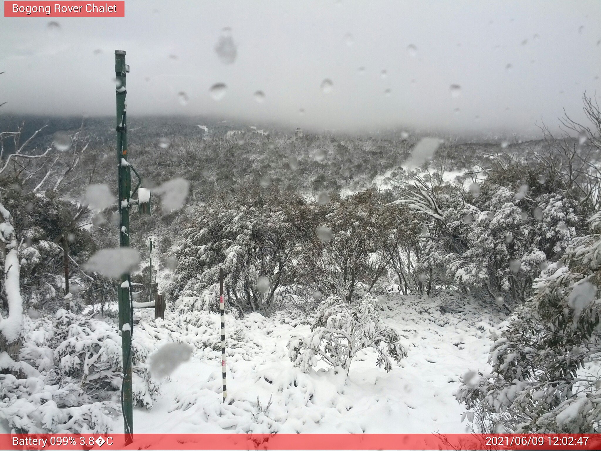 Bogong Web Cam 12:02pm Wednesday 9th of June 2021