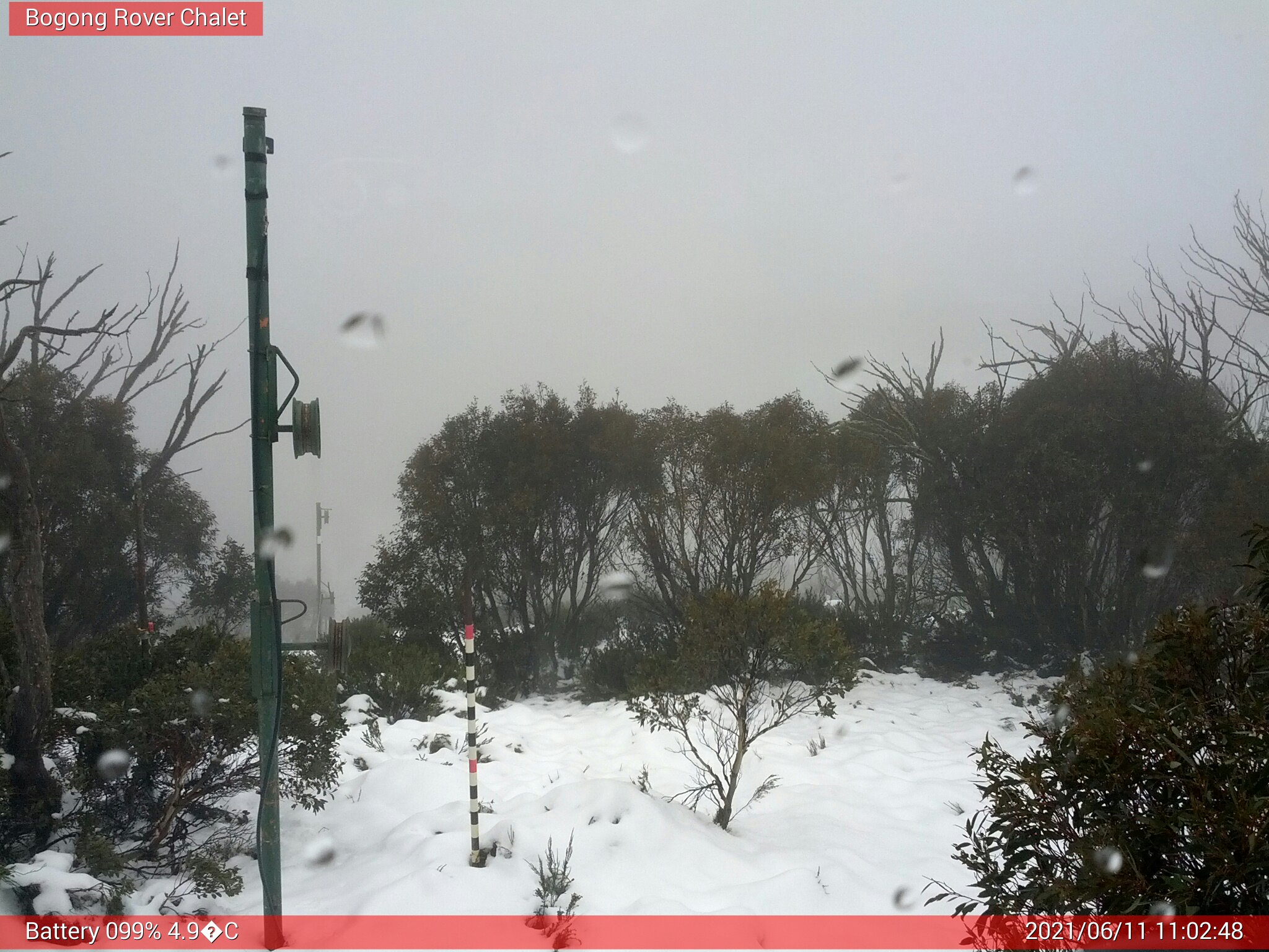 Bogong Web Cam 11:02am Friday 11th of June 2021