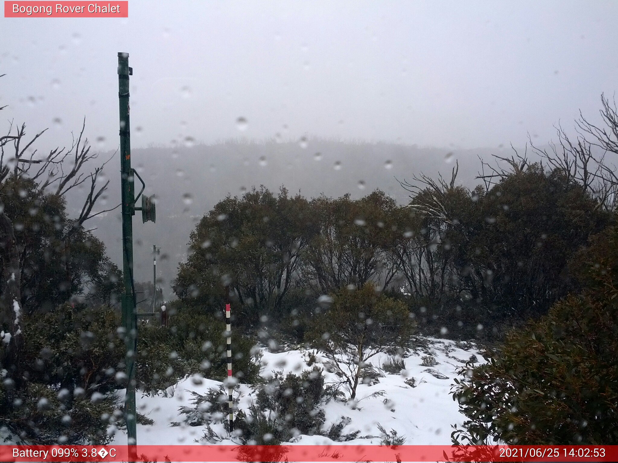 Bogong Web Cam 2:02pm Friday 25th of June 2021