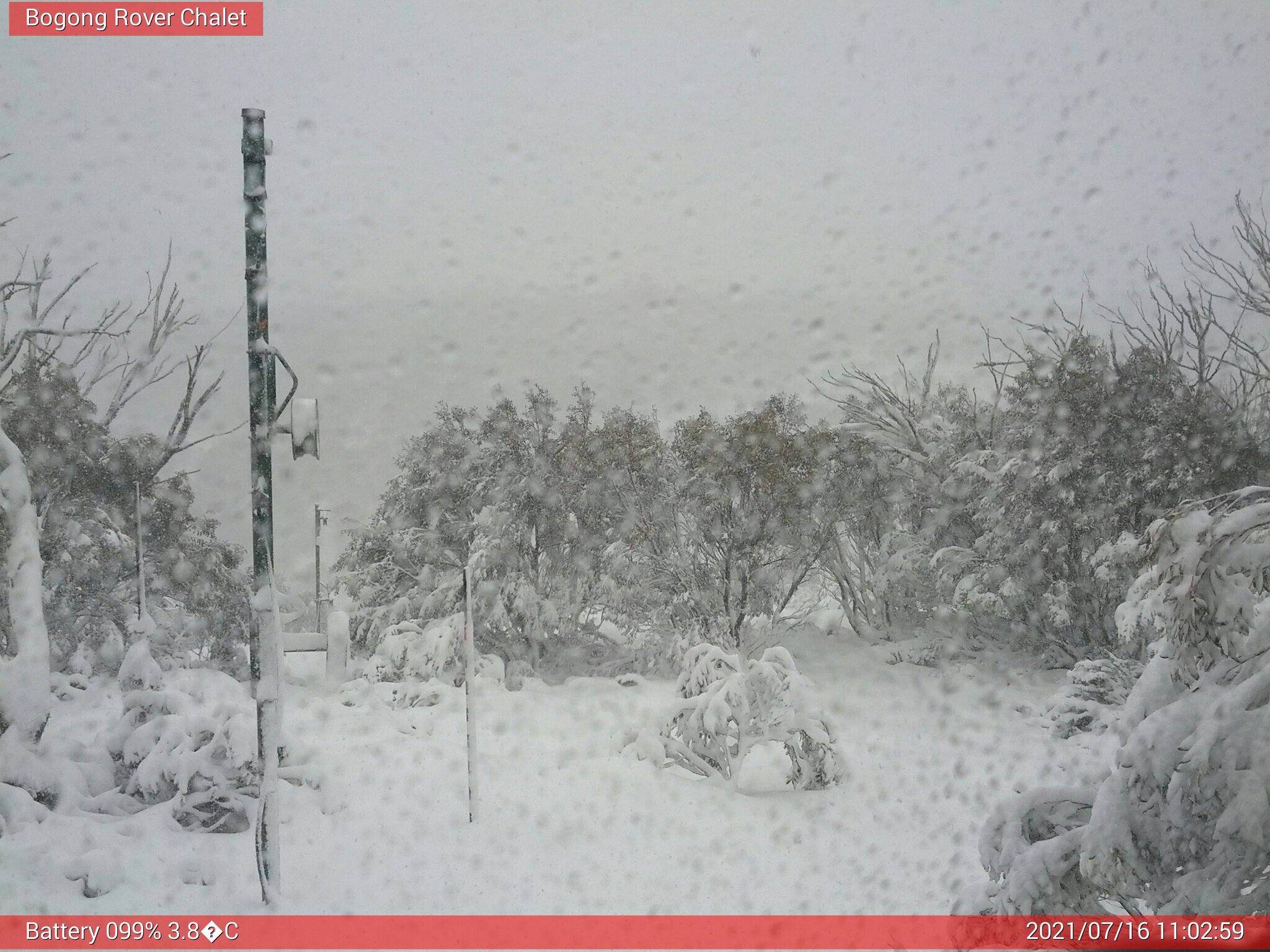 Bogong Web Cam 11:02am Friday 16th of July 2021