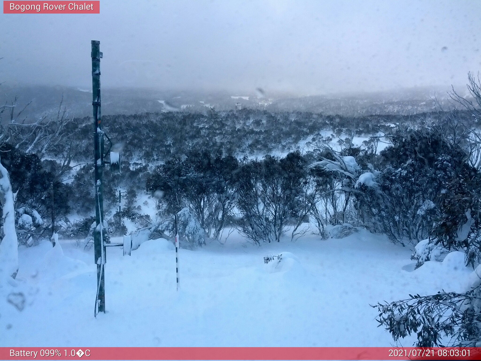 Bogong Web Cam 8:03am Wednesday 21st of July 2021