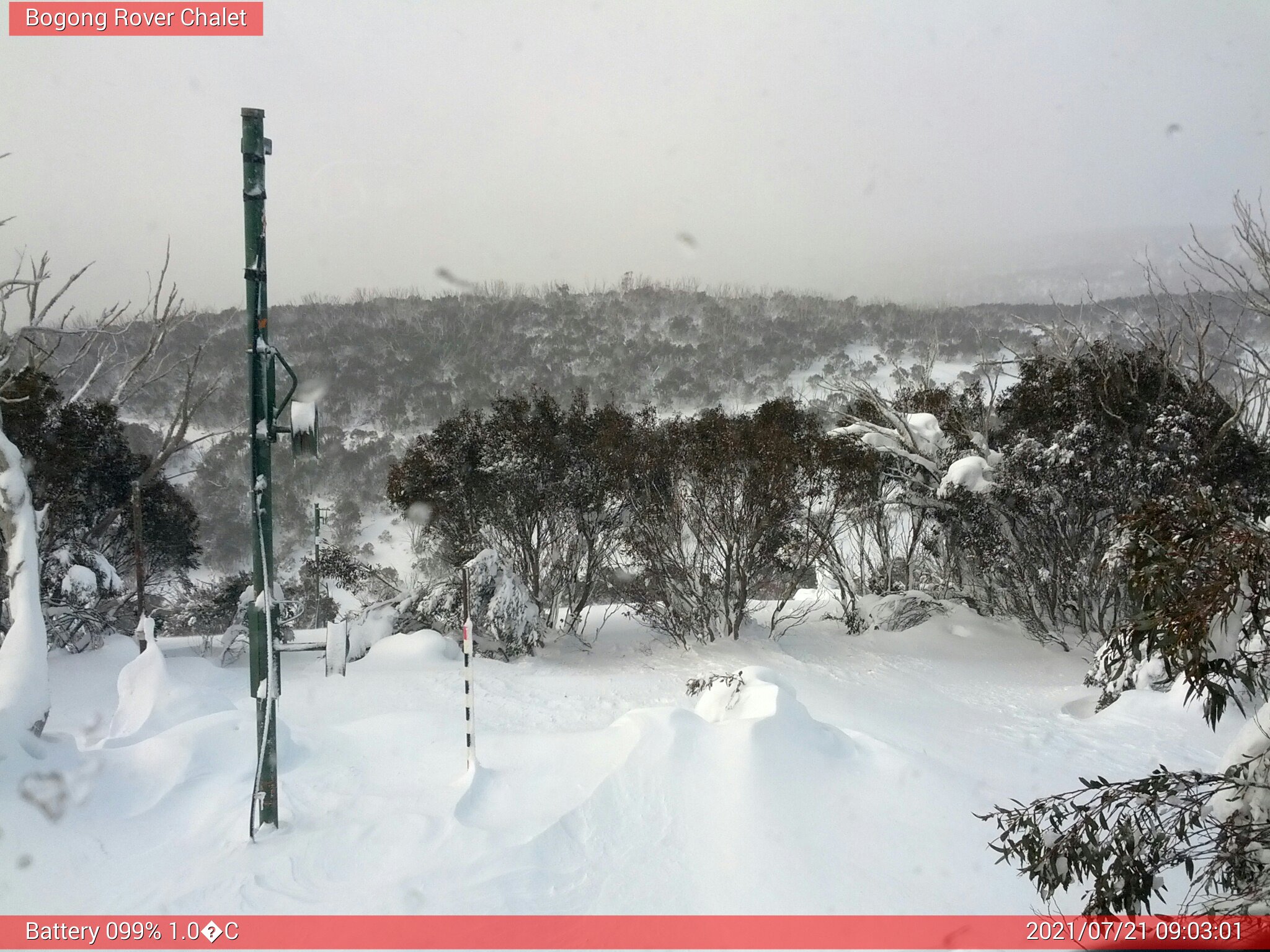 Bogong Web Cam 9:03am Wednesday 21st of July 2021