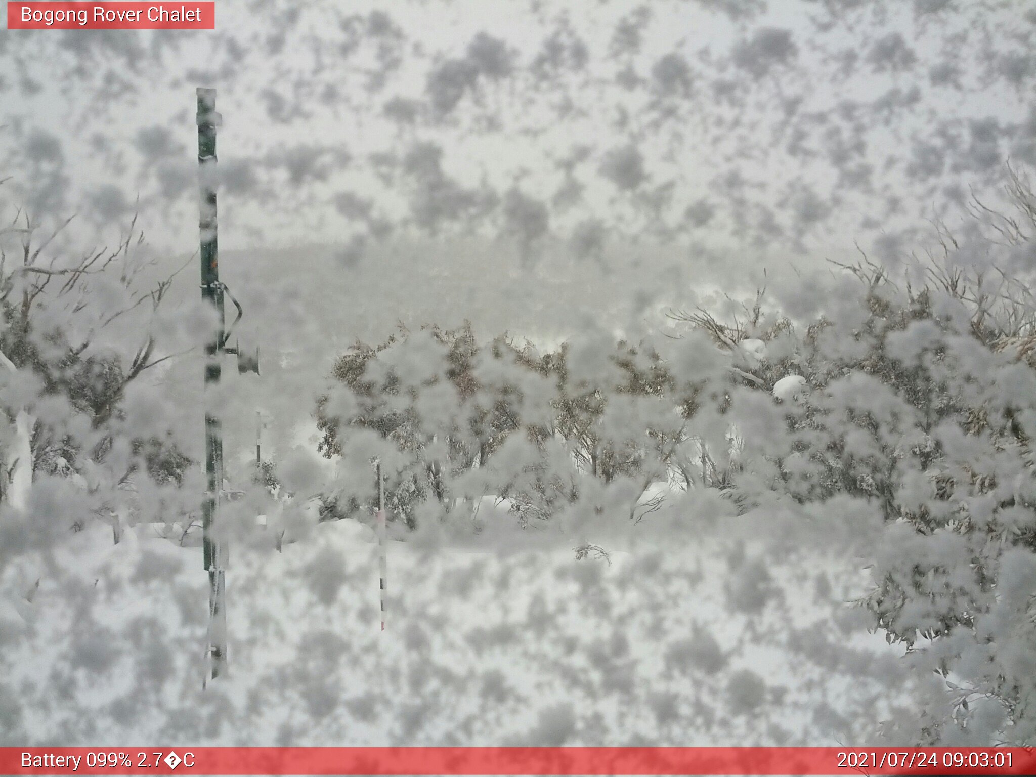 Bogong Web Cam 9:03am Saturday 24th of July 2021