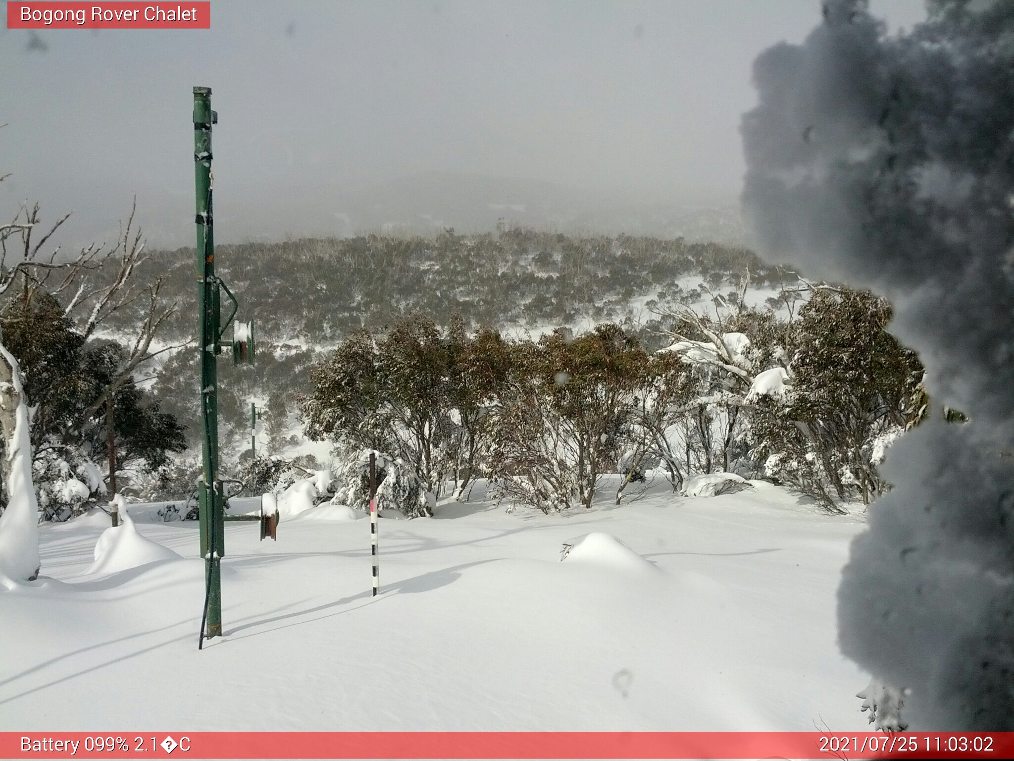 Bogong Web Cam 11:03am Sunday 25th of July 2021