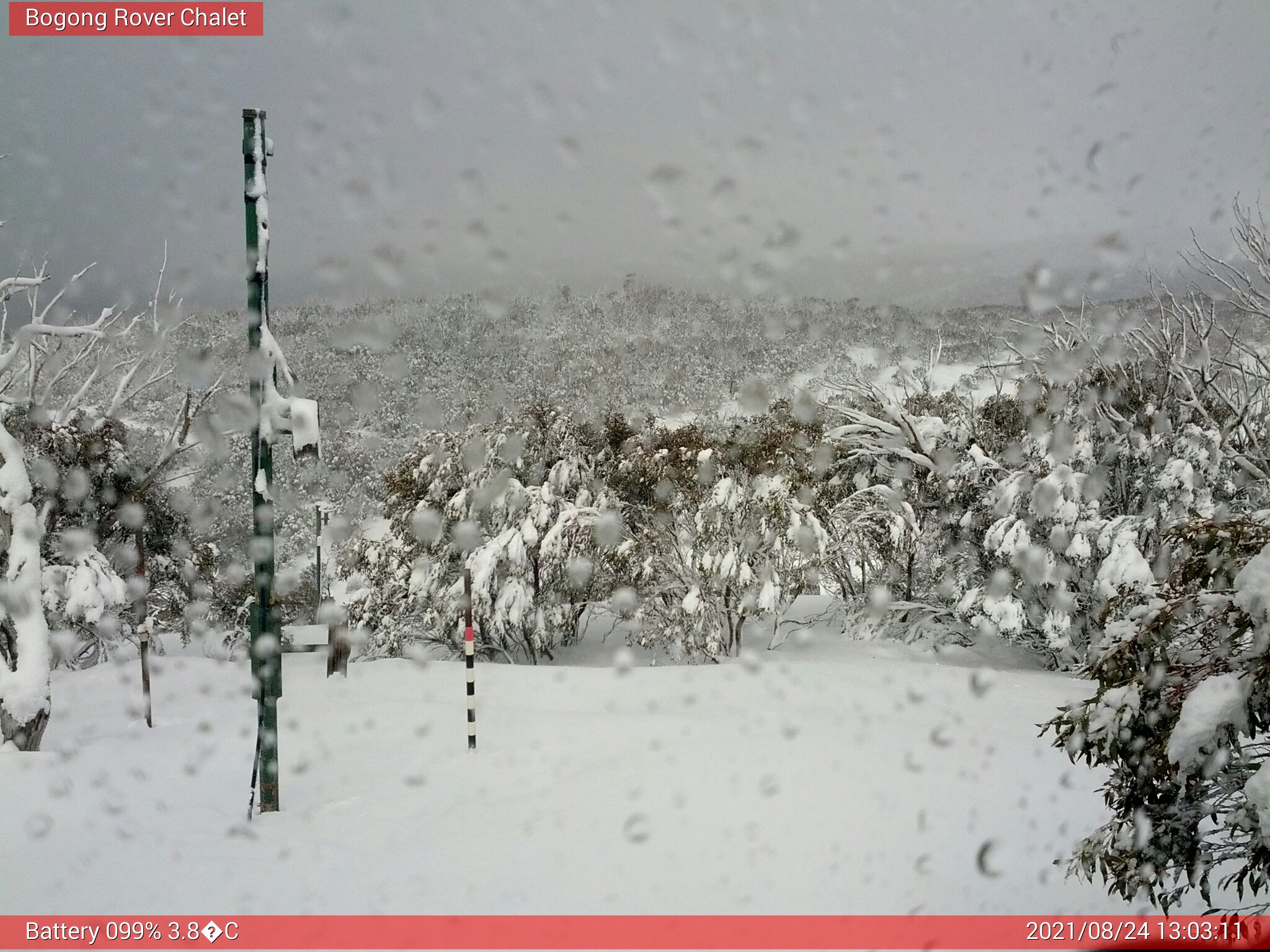 Bogong Web Cam 1:03pm Tuesday 24th of August 2021