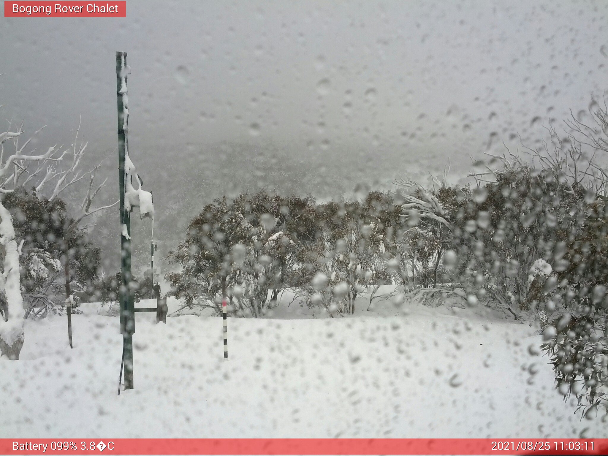 Bogong Web Cam 11:03am Wednesday 25th of August 2021