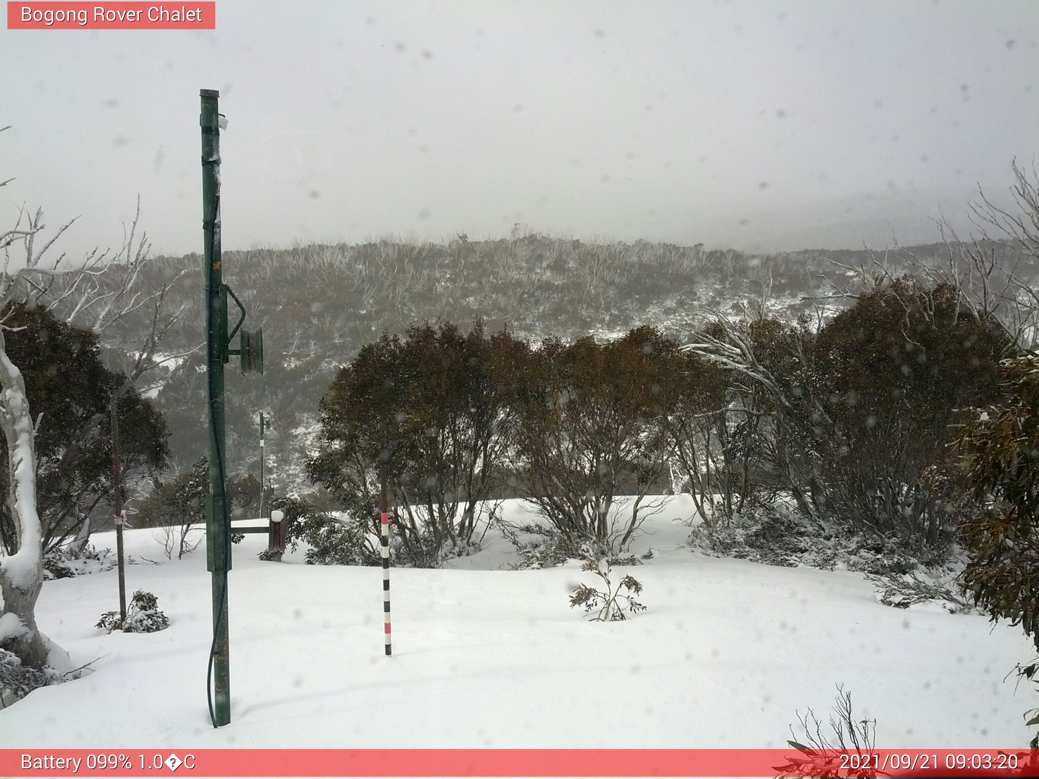 Bogong Web Cam 9:03am Tuesday 21st of September 2021