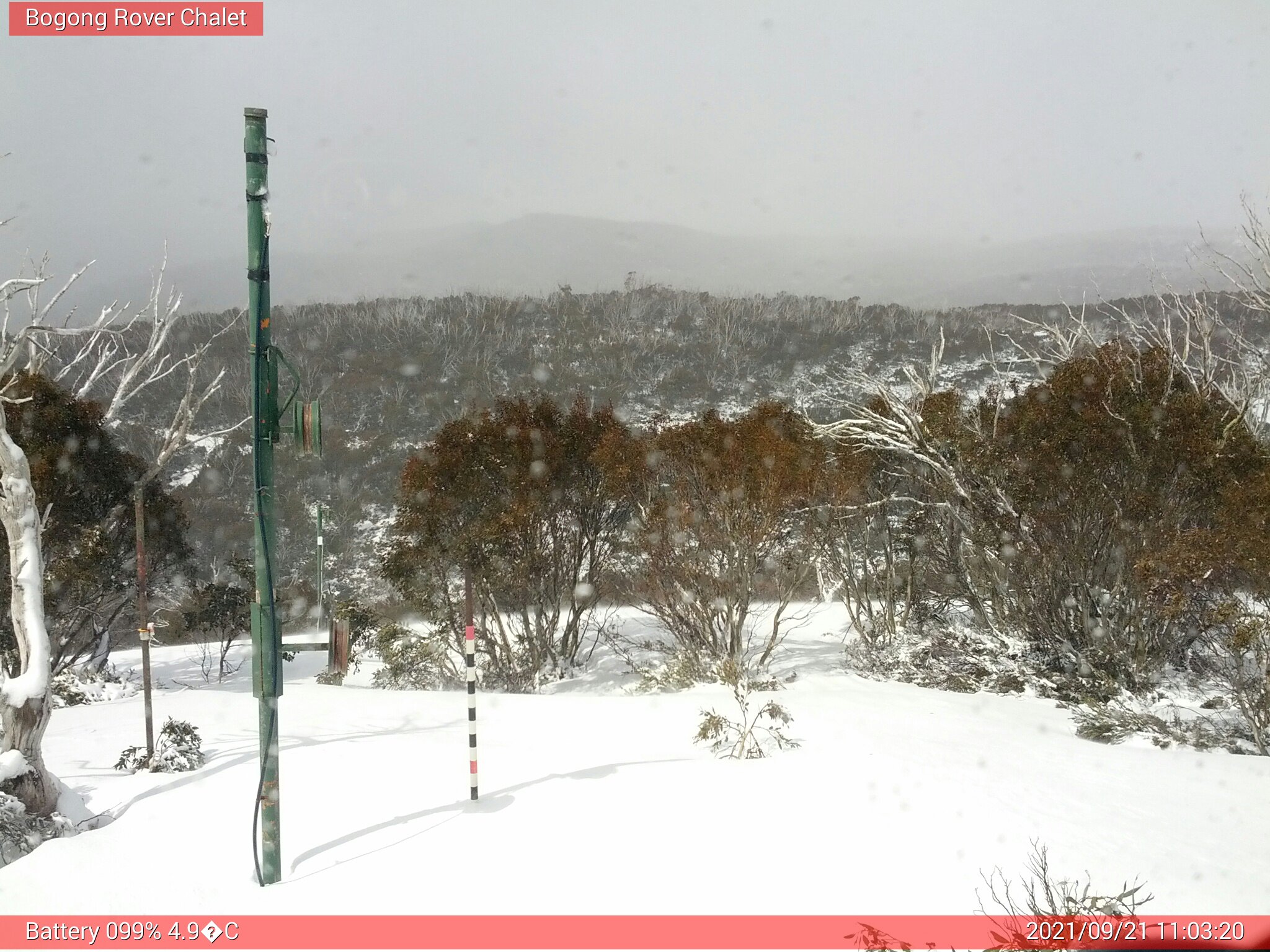 Bogong Web Cam 11:03am Tuesday 21st of September 2021