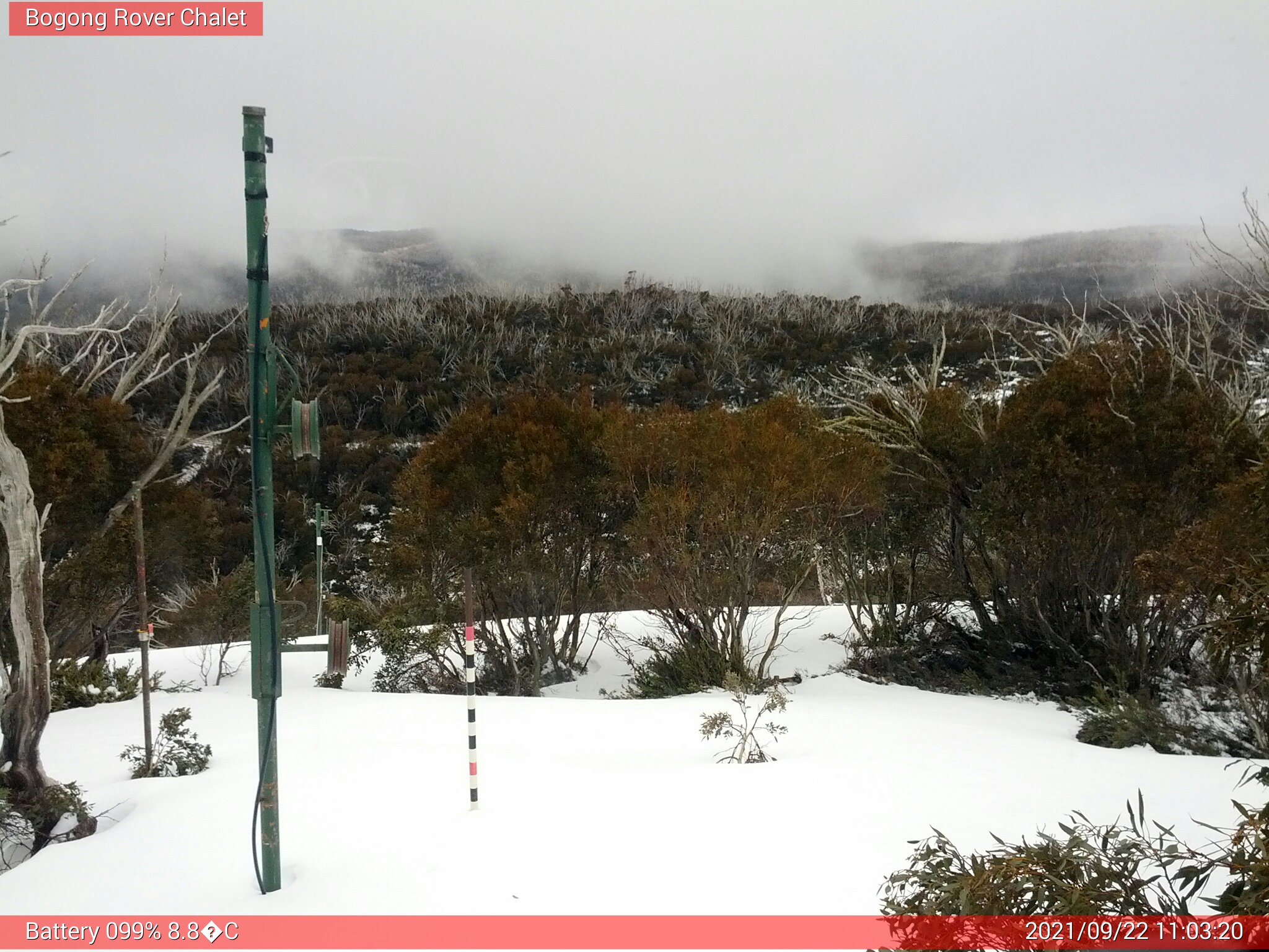 Bogong Web Cam 11:03am Wednesday 22nd of September 2021