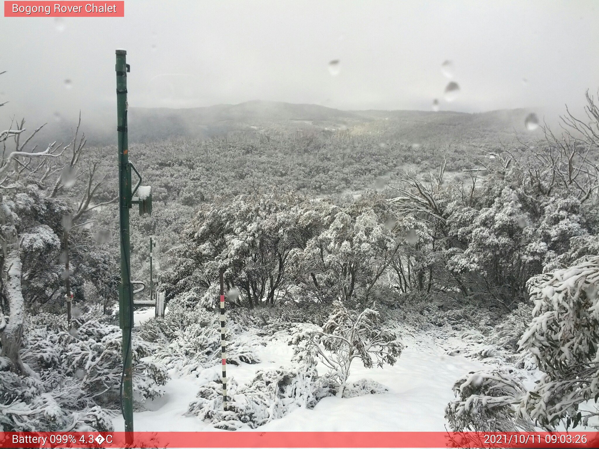 Bogong Web Cam 9:03am Monday 11th of October 2021