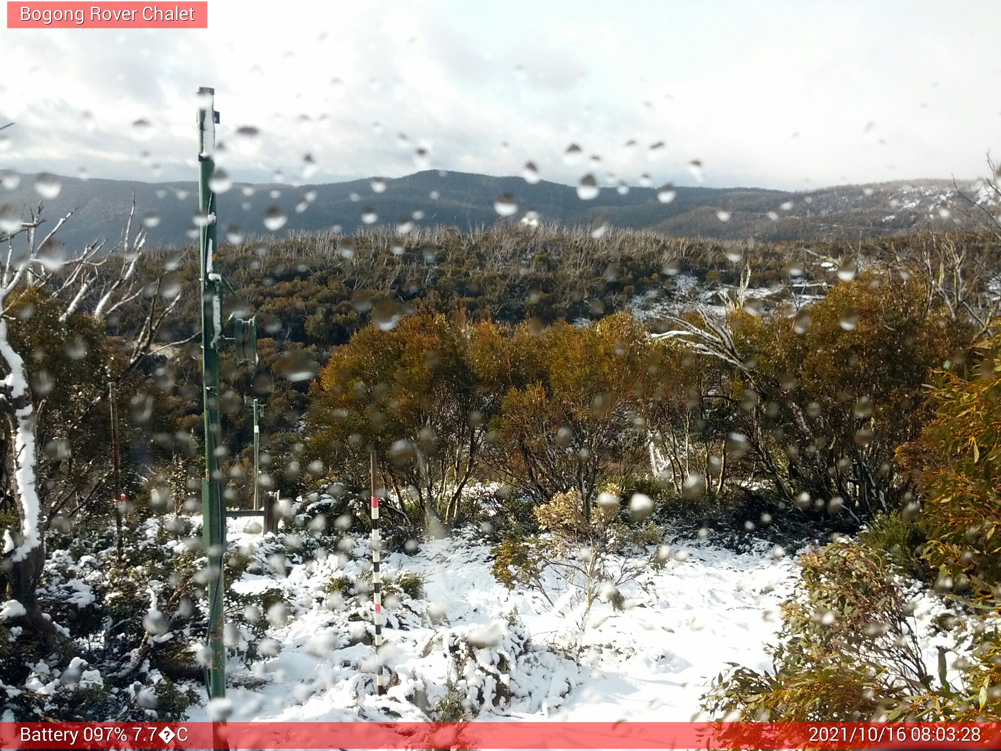 Bogong Web Cam 8:03am Saturday 16th of October 2021